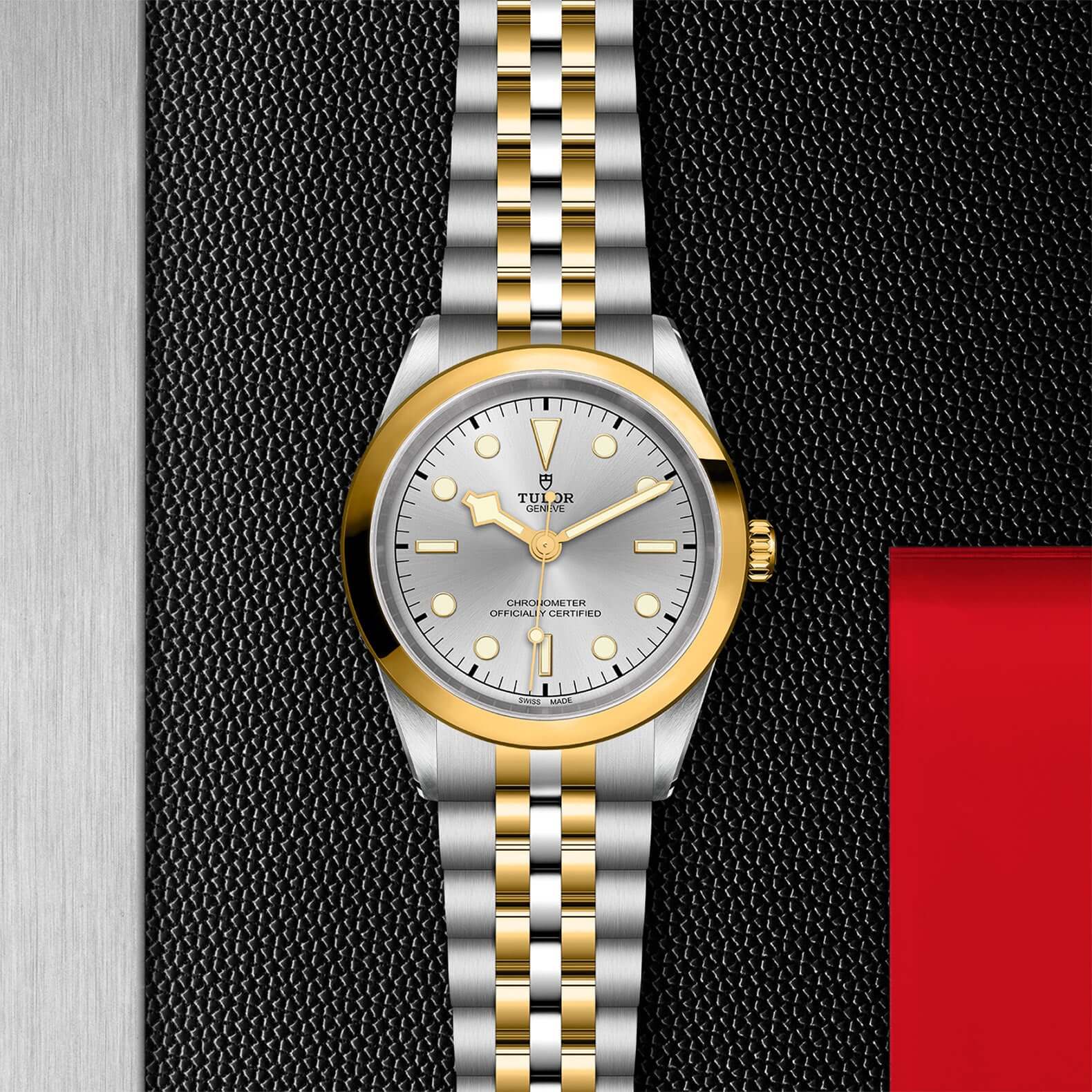 Tudor Black Bay 41 S&G【1:1 Replica】
