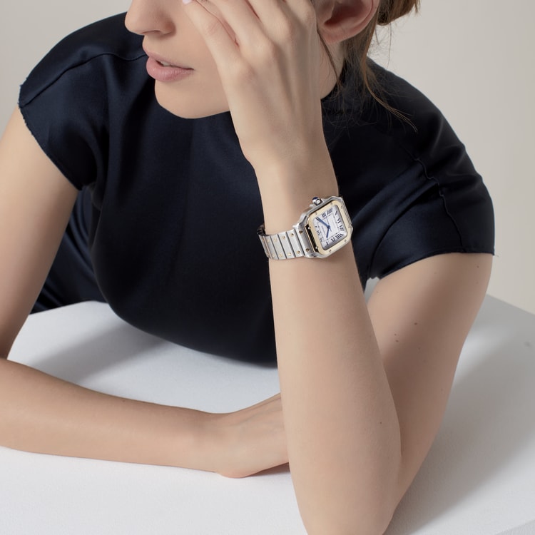 SANTOS DE CARTIER WATCH W2SA0016【1:1 Replica】