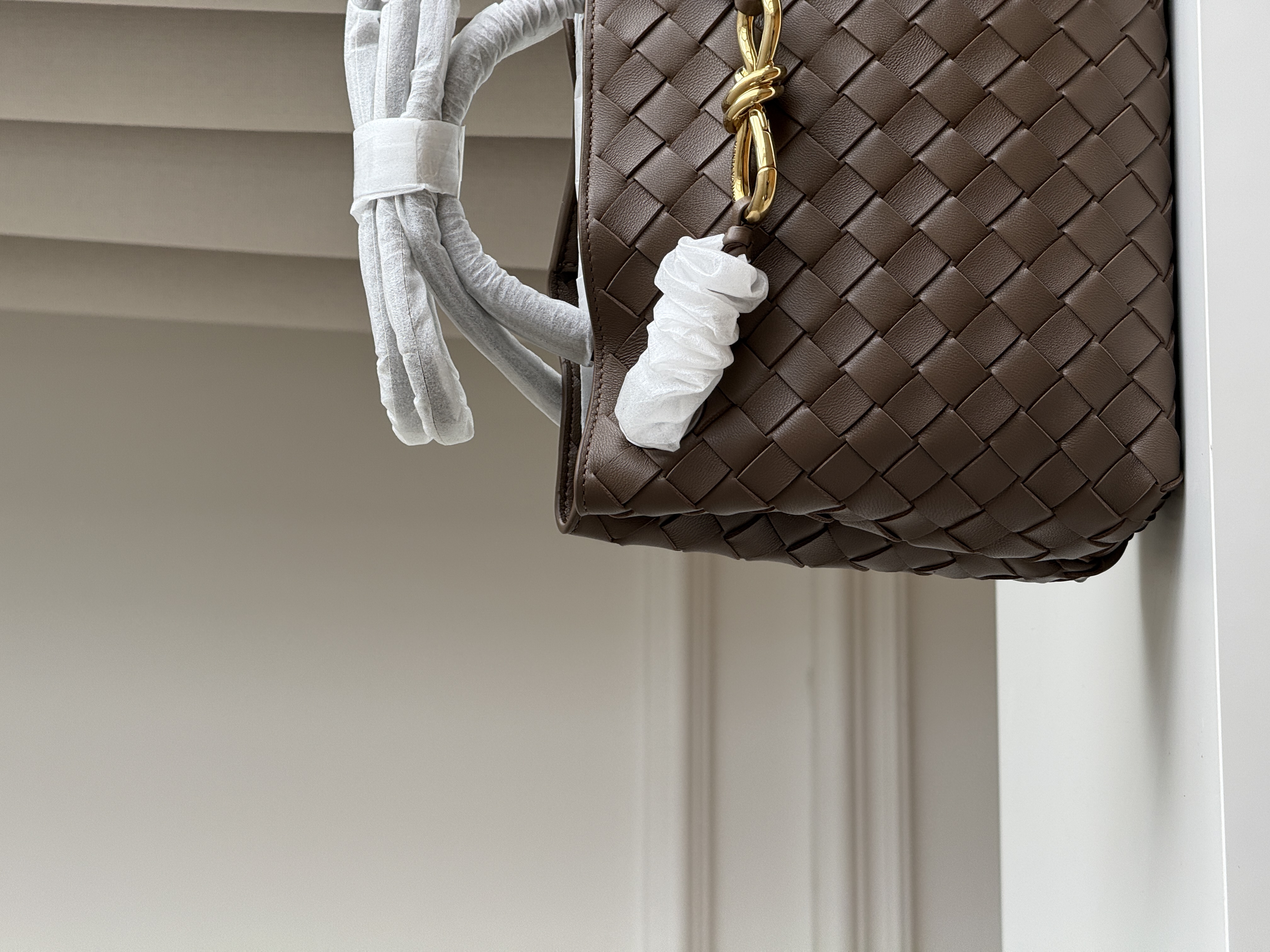 Bottega Veneta Small Andiamo Tote