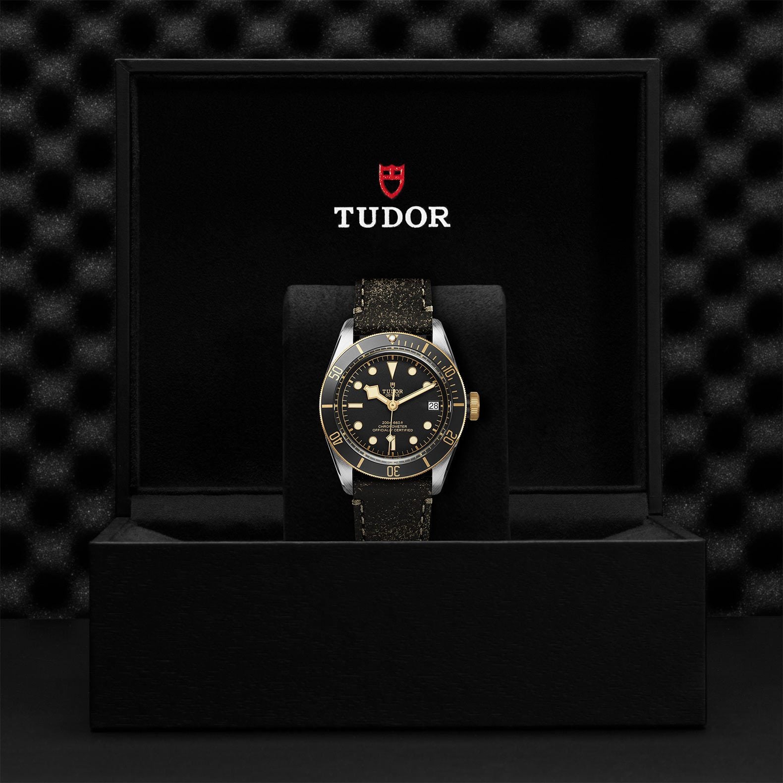 TUDOR Black Bay S&G 41mm Steel and Gold【1:1 Replica】