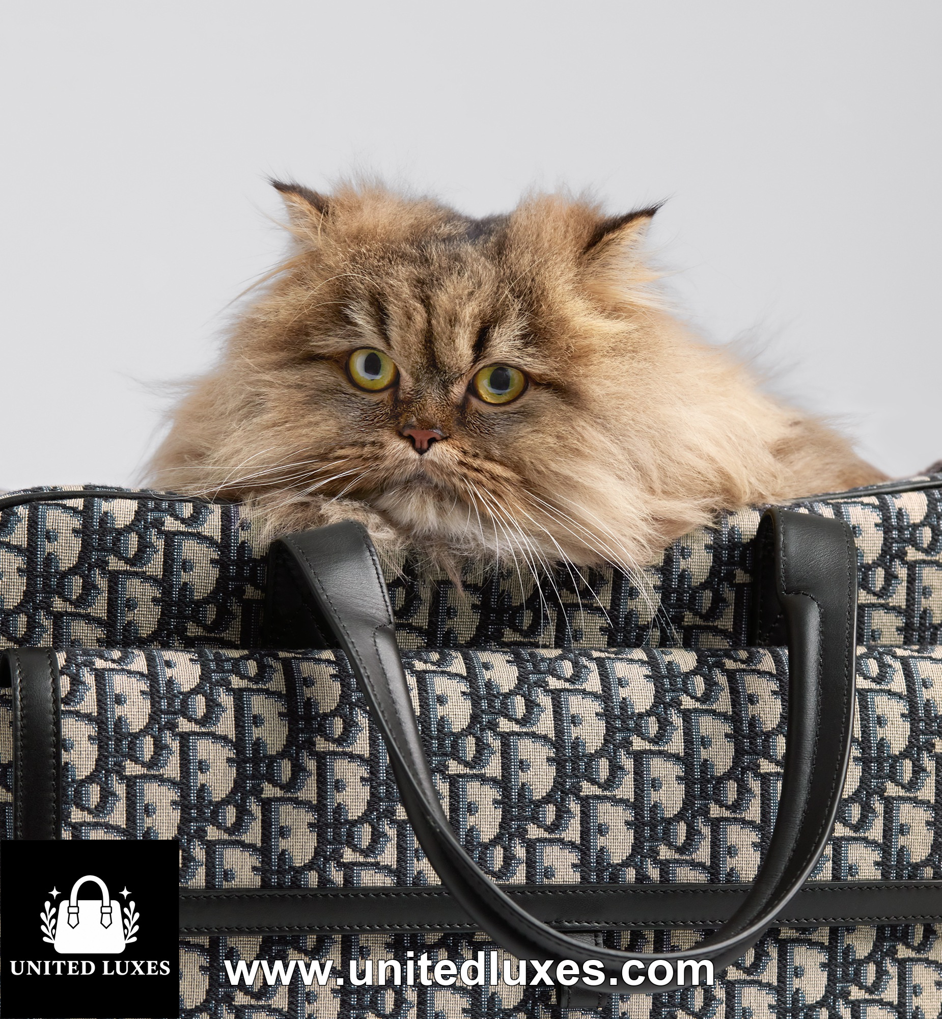 Replica Dior Hit the Road Pet Carrier Bag
