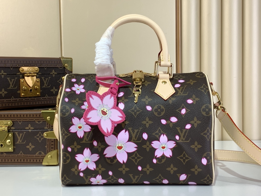 LV x TM Speedy 25 Bag