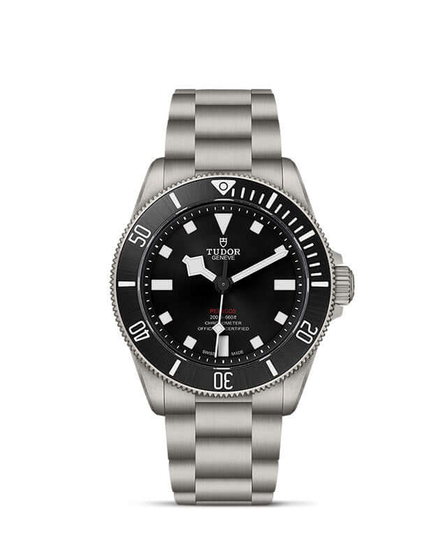 Tudor Pelagos 39【1:1 Replica】