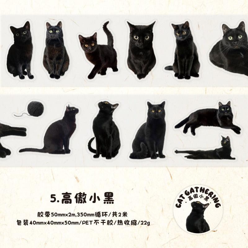 3006 PET Tape Cat Rally Series