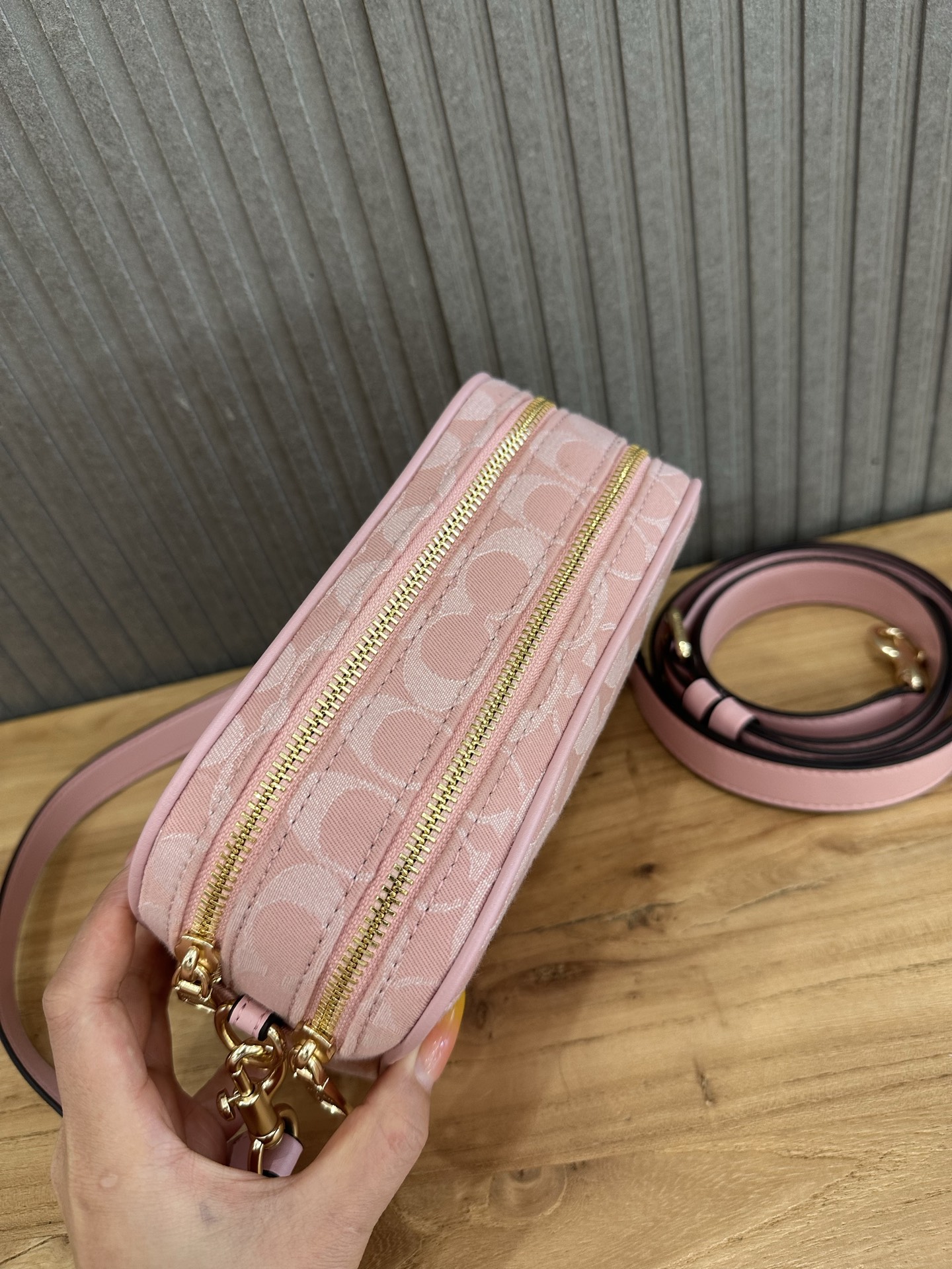 Women Handbag CEN19 Mini Carey Crossbody Camera Bag