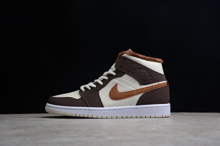 Air Jordan 1 Mid DO6699-200
