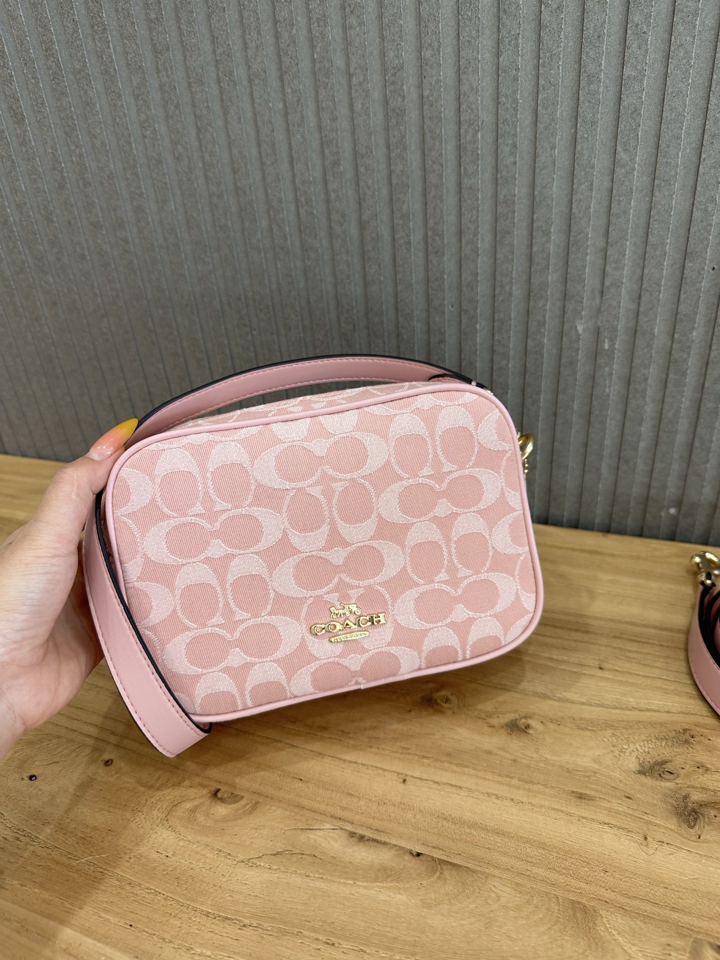 Women Handbag CEN19 Mini Carey Crossbody Camera Bag