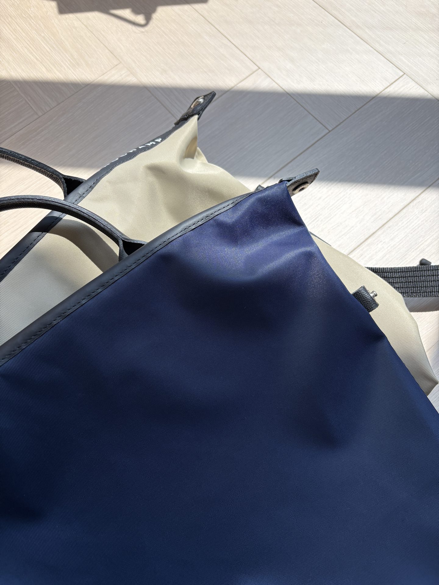 Women Handbag 10166HSR Le Pliage Energy L Backpack