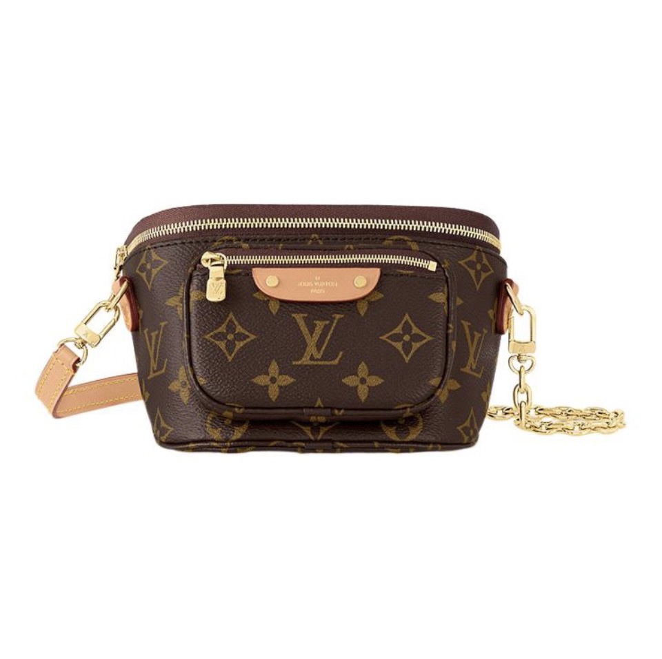LV Bumbag Bag