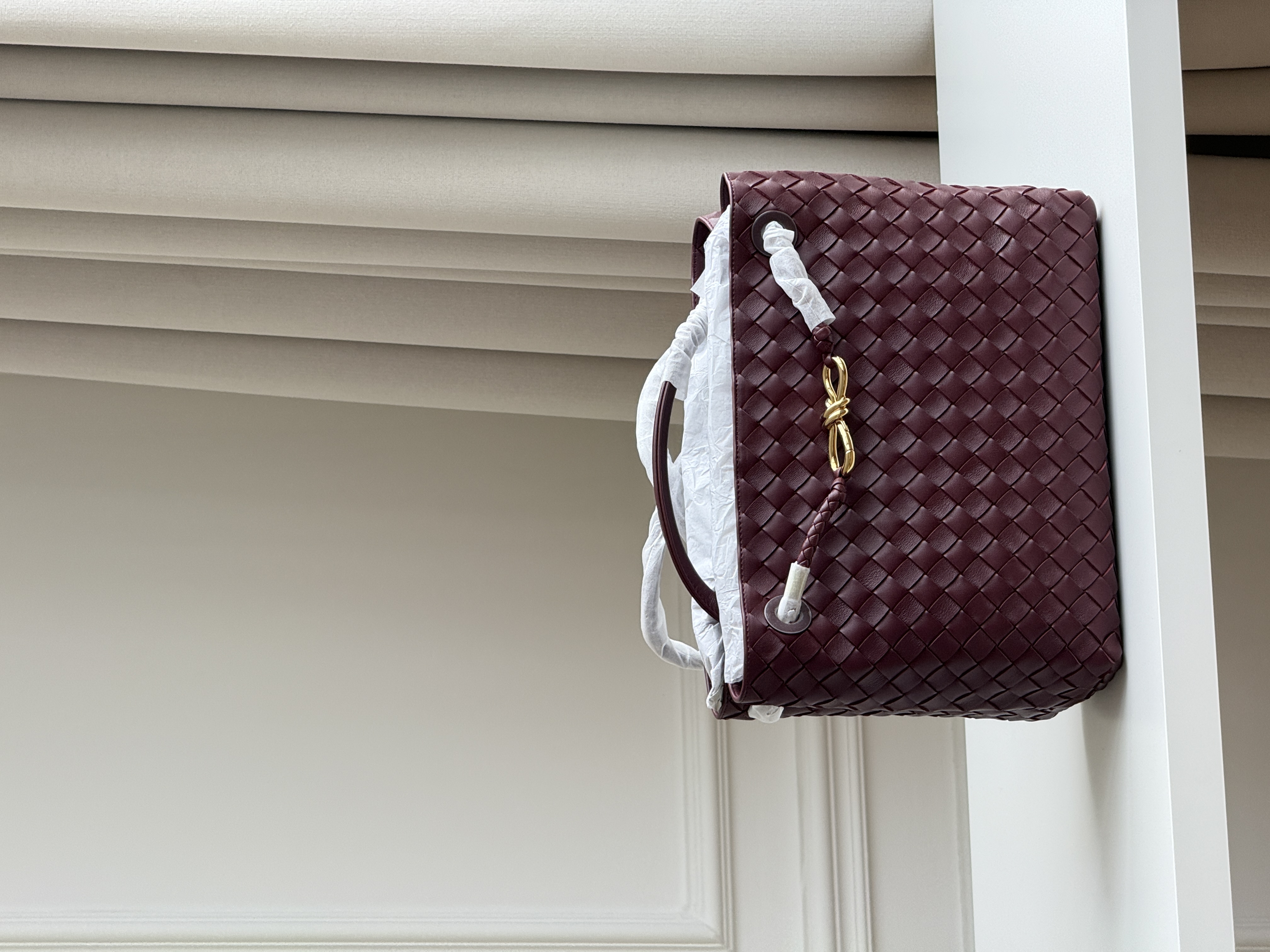 Bottega Veneta Andiamo Handbag