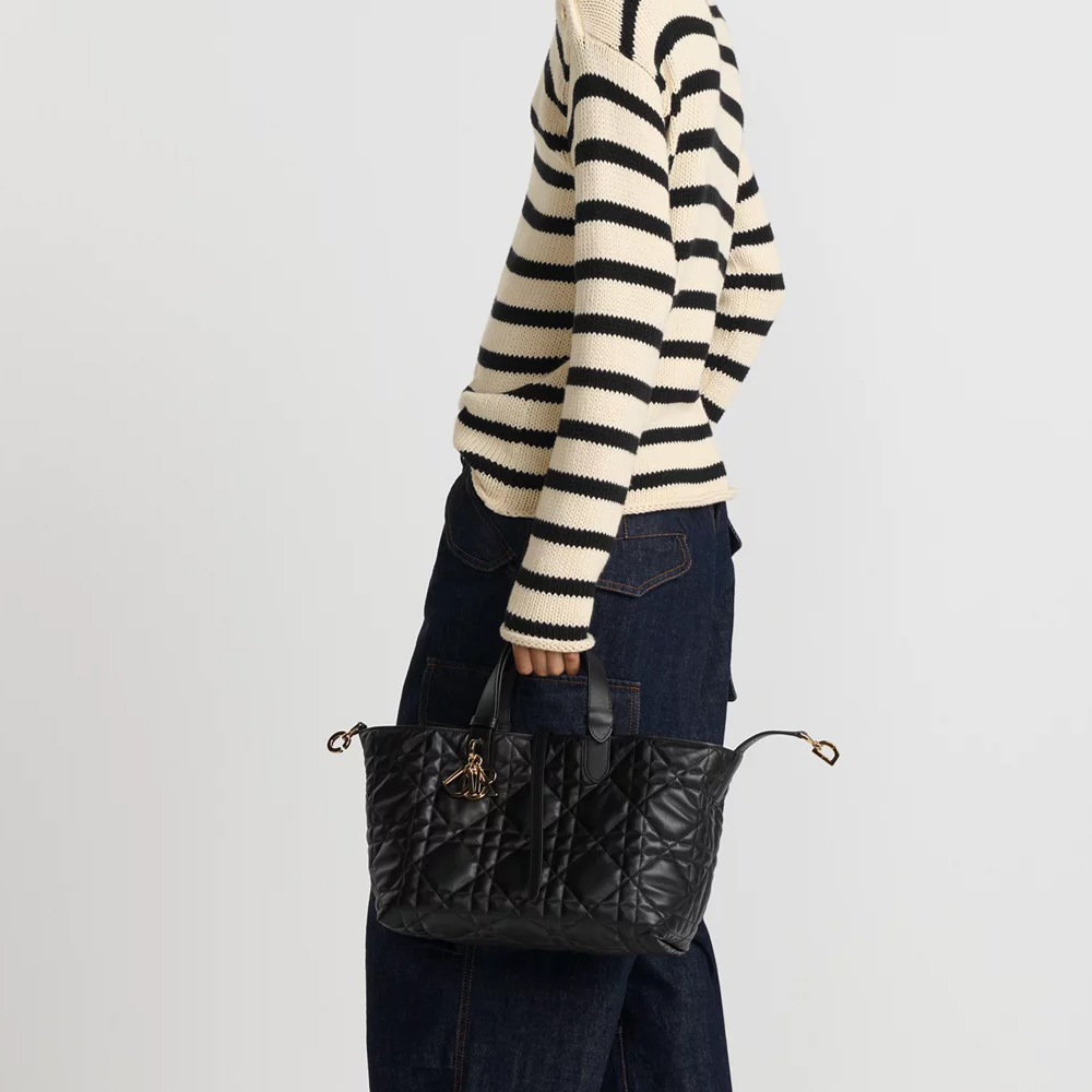 Dior Toujours Bag
