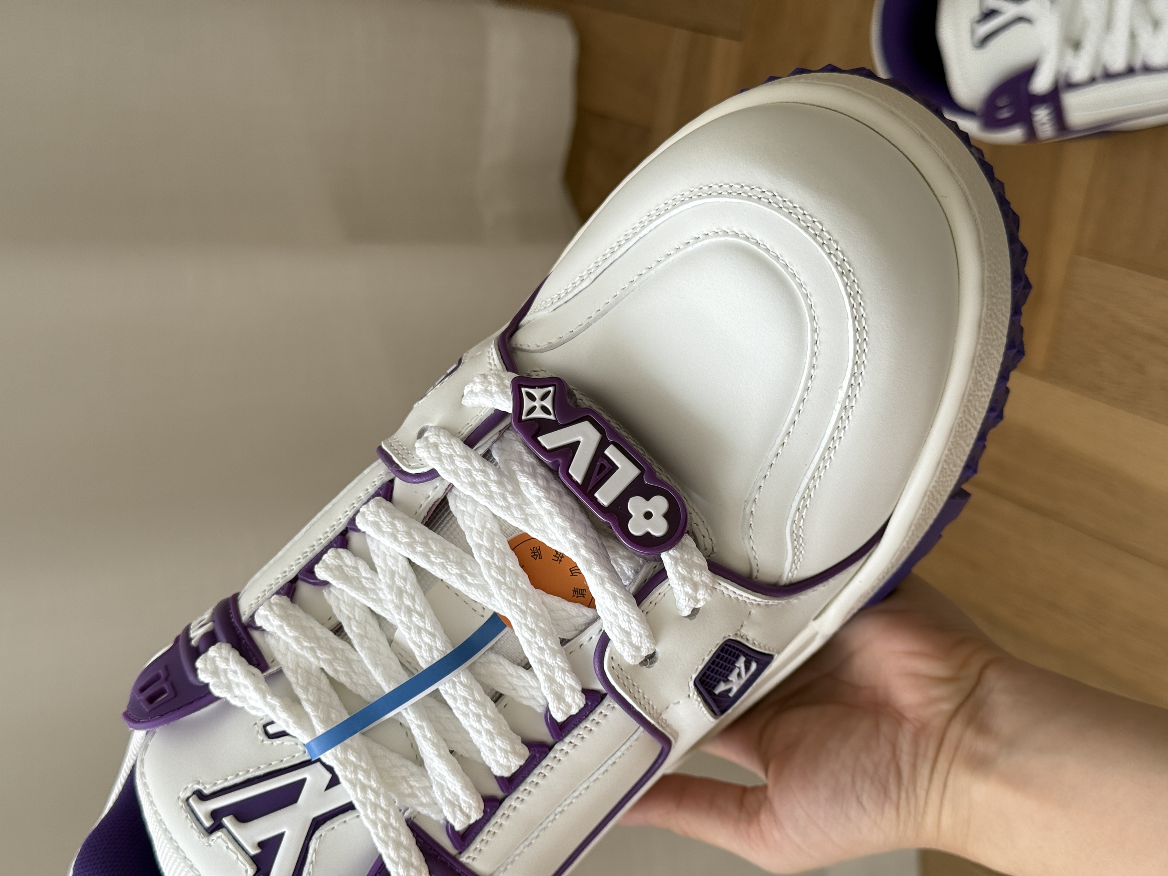 Louis Vuitton Trainer Low Sneakers