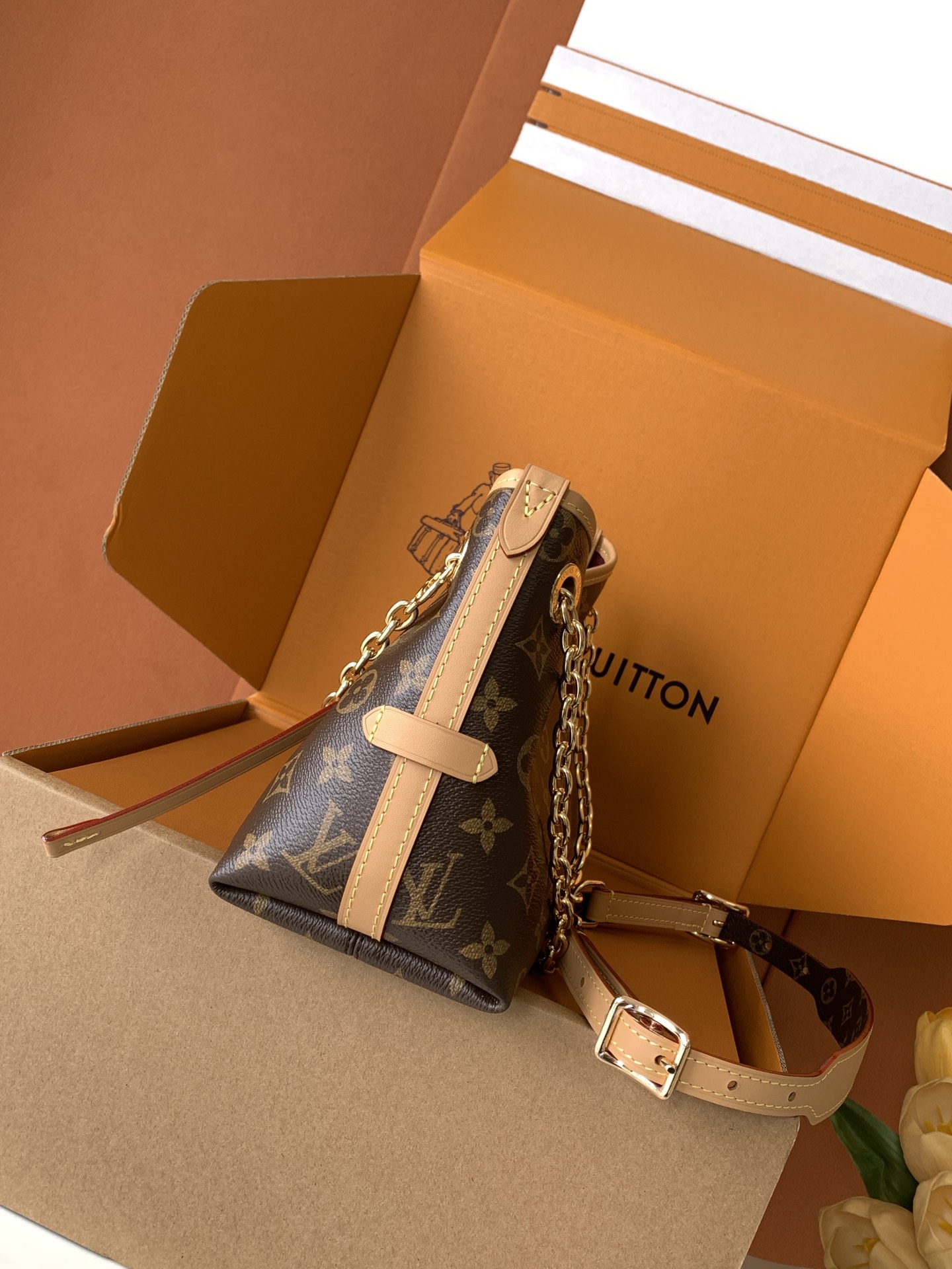 LV Caryyall BB Bag