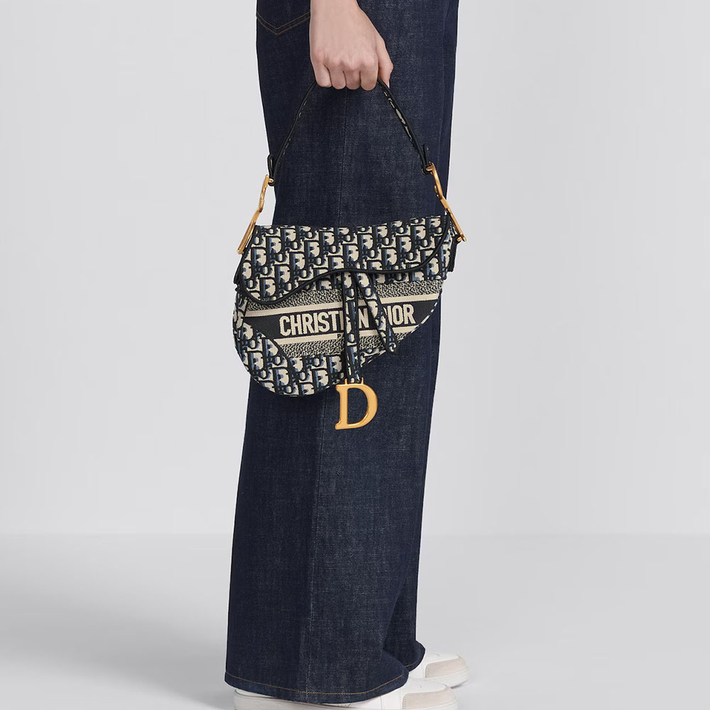 Dior Saddle Bag Oblique Embroidered