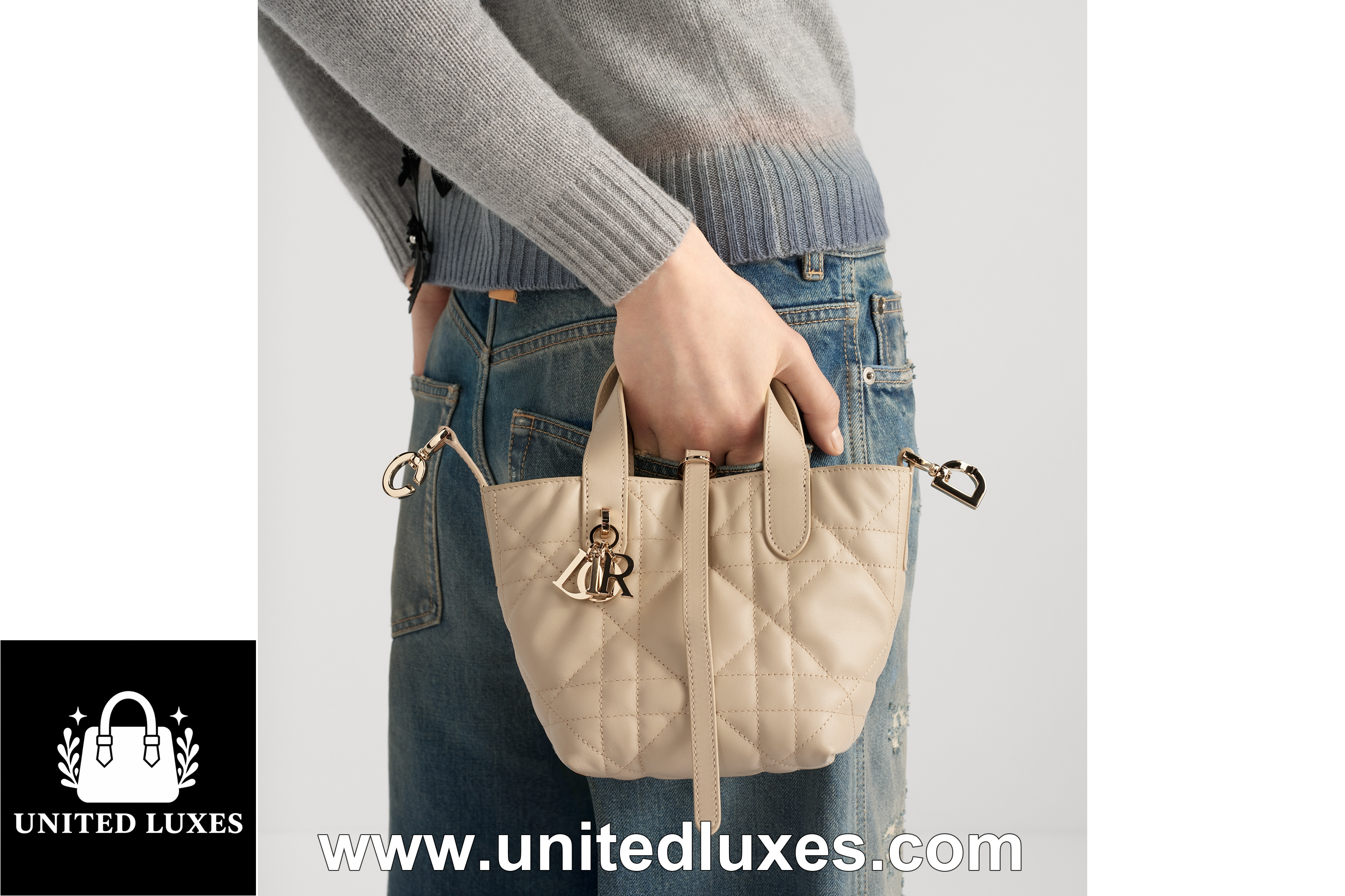 Replica Dior Toujours Vertical Nano Tote Bag