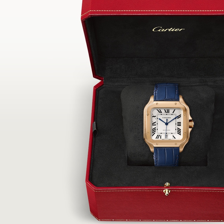SANTOS DE CARTIER WATCH WGSA0018【1:1 Replica】