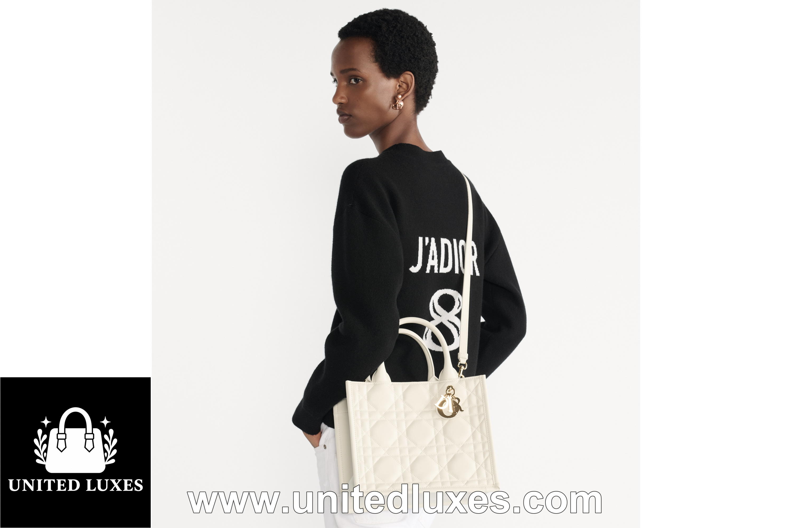 Replica Small Dior Book Tote