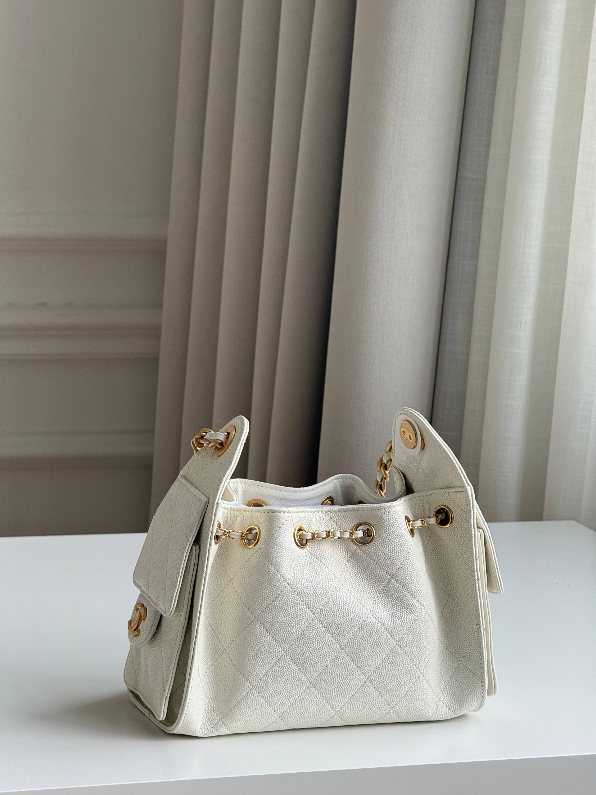 Chanel 25 Hobo Bag