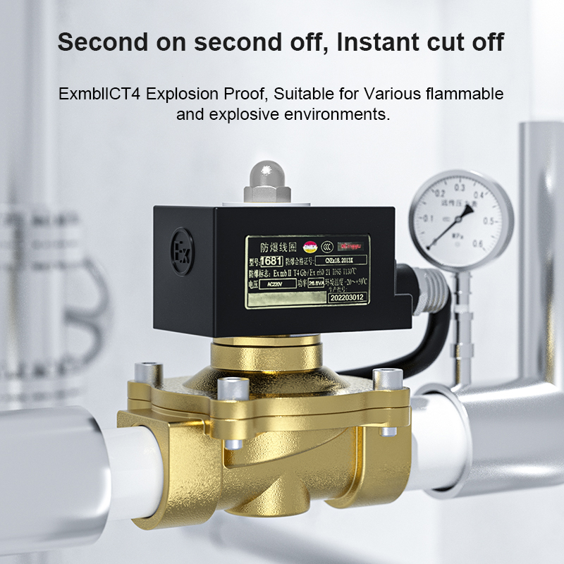 Acarps Explosion Proof Electric Solenoid Valve Normally Closed Brass Ex mb lIC T4 Gb DN10-DN50 For Oil, Coal Gas, Natural Gas AC220V DC24V