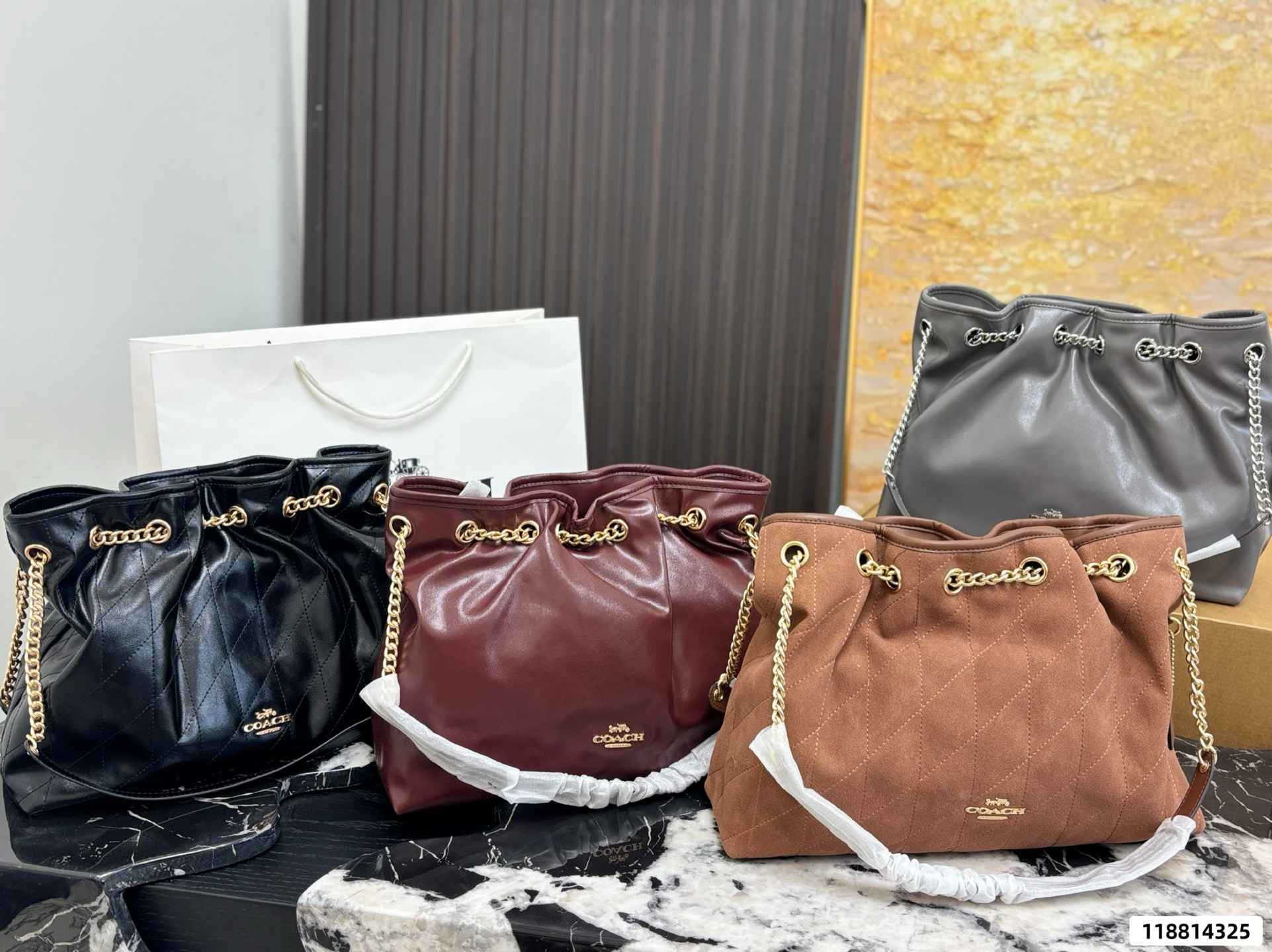 Coach Evelyn Chain Lucky Bag