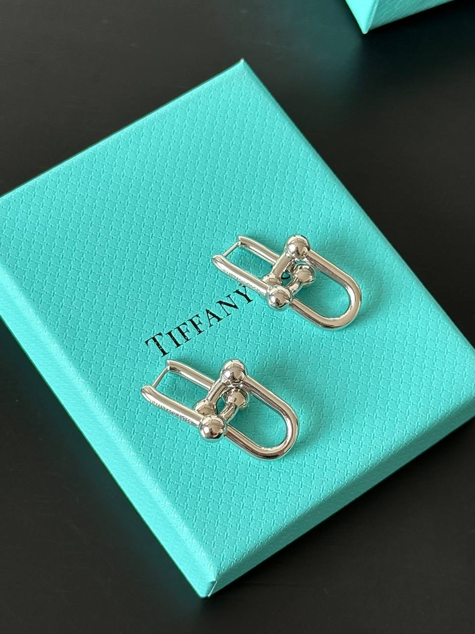 Tiffany & Co. HardWear Link Earrings in Sterling Silver