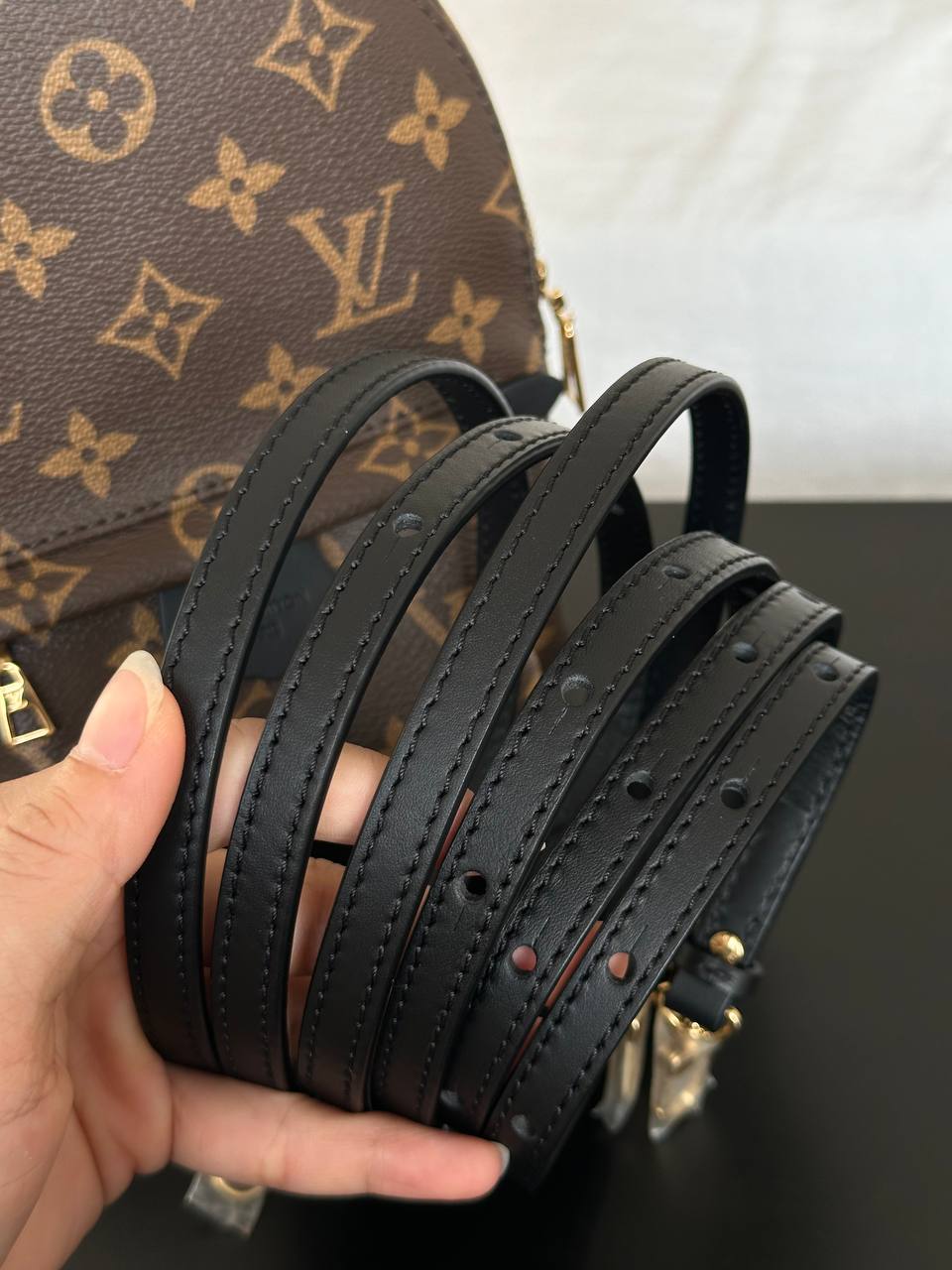 Louis Vuitton Monogram Mini Palm Springs Backpack