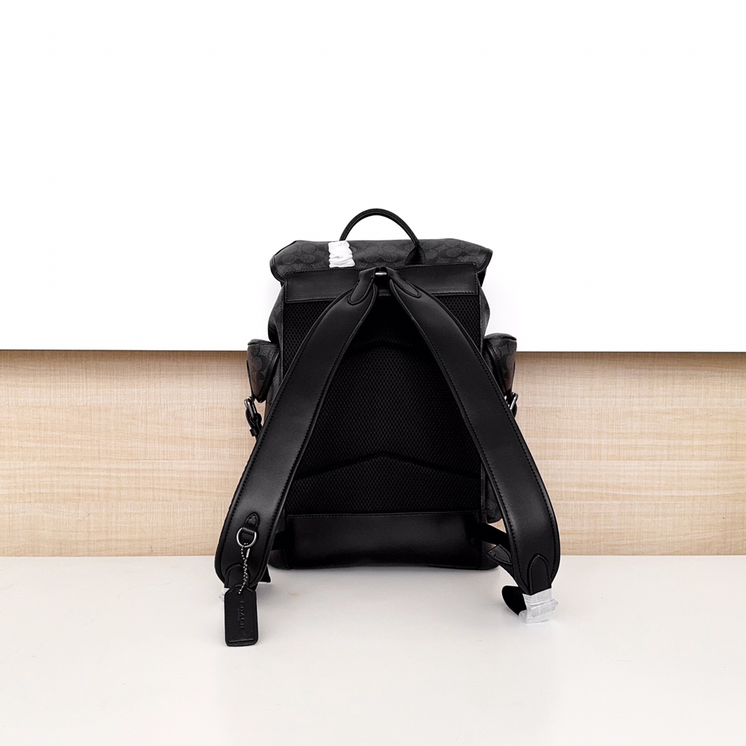 Men Handbag CV983 Hitch Backpack Signature Canvas