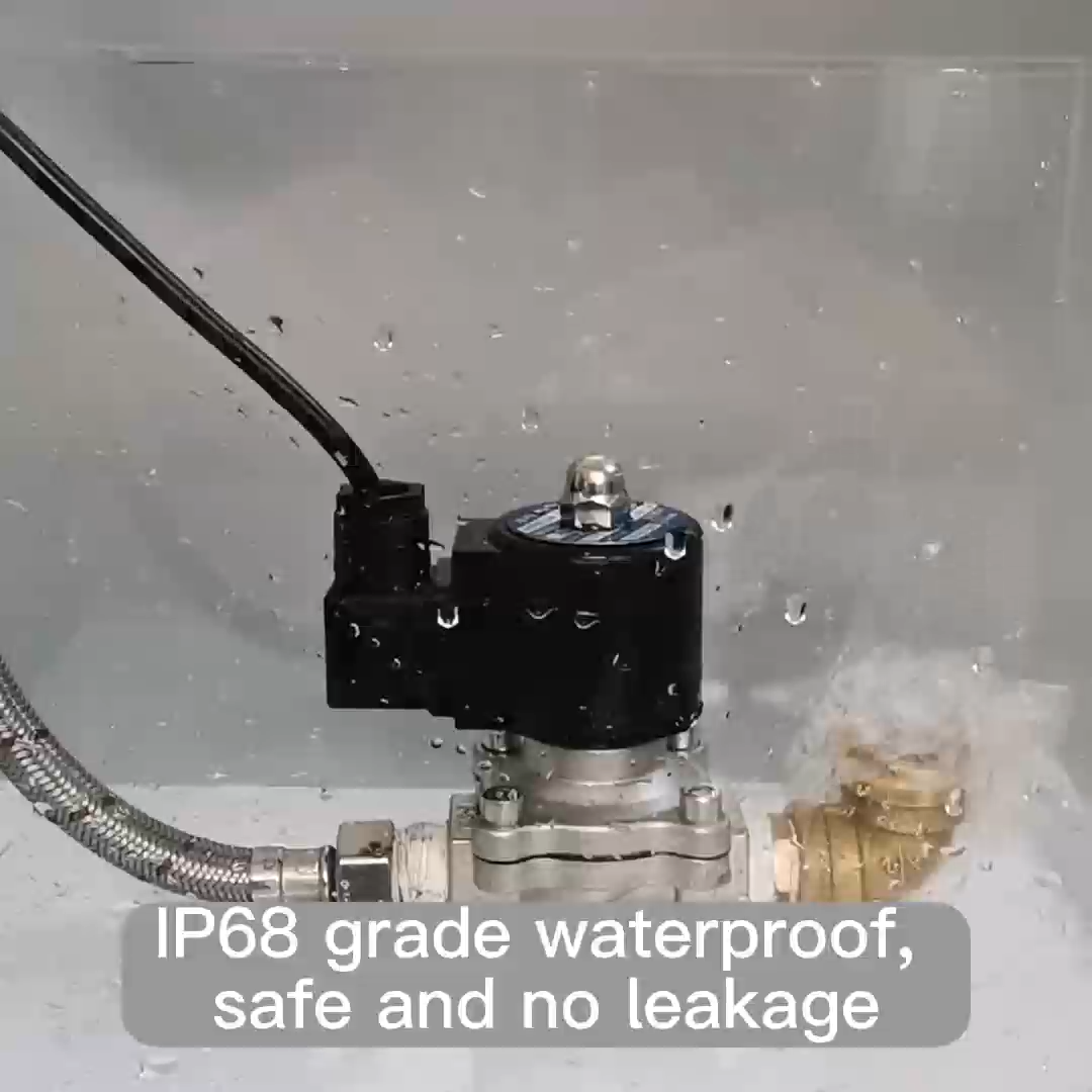 Acarps Underwater Fountain Solenoid Valve 304 Stainless Steel Normally Closed IP68 Waterproof Grade DN10-DN50 Electric Solenoid Valve 12V 24V 220V