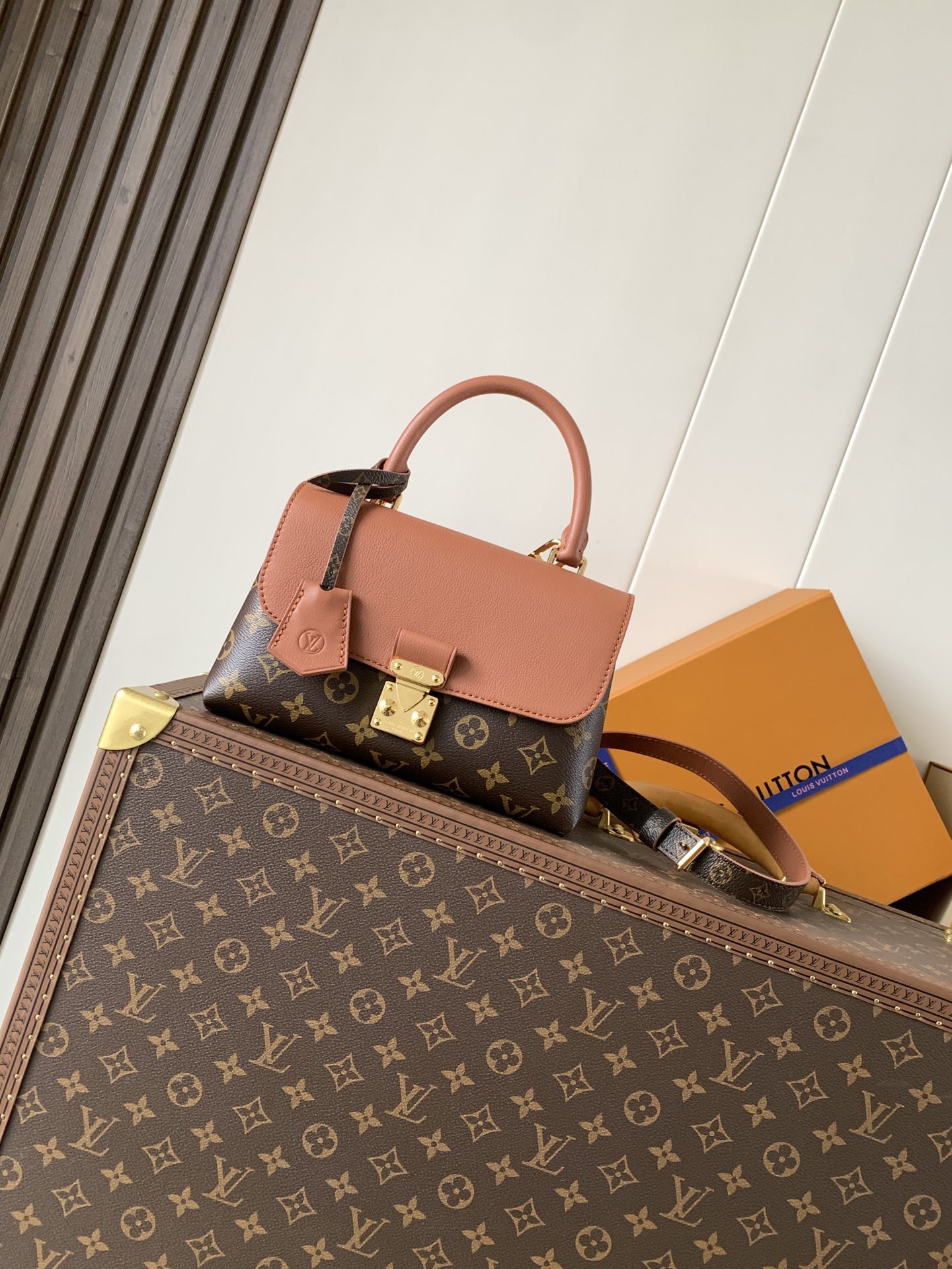 LV Madeleine BB Monogram Bag
