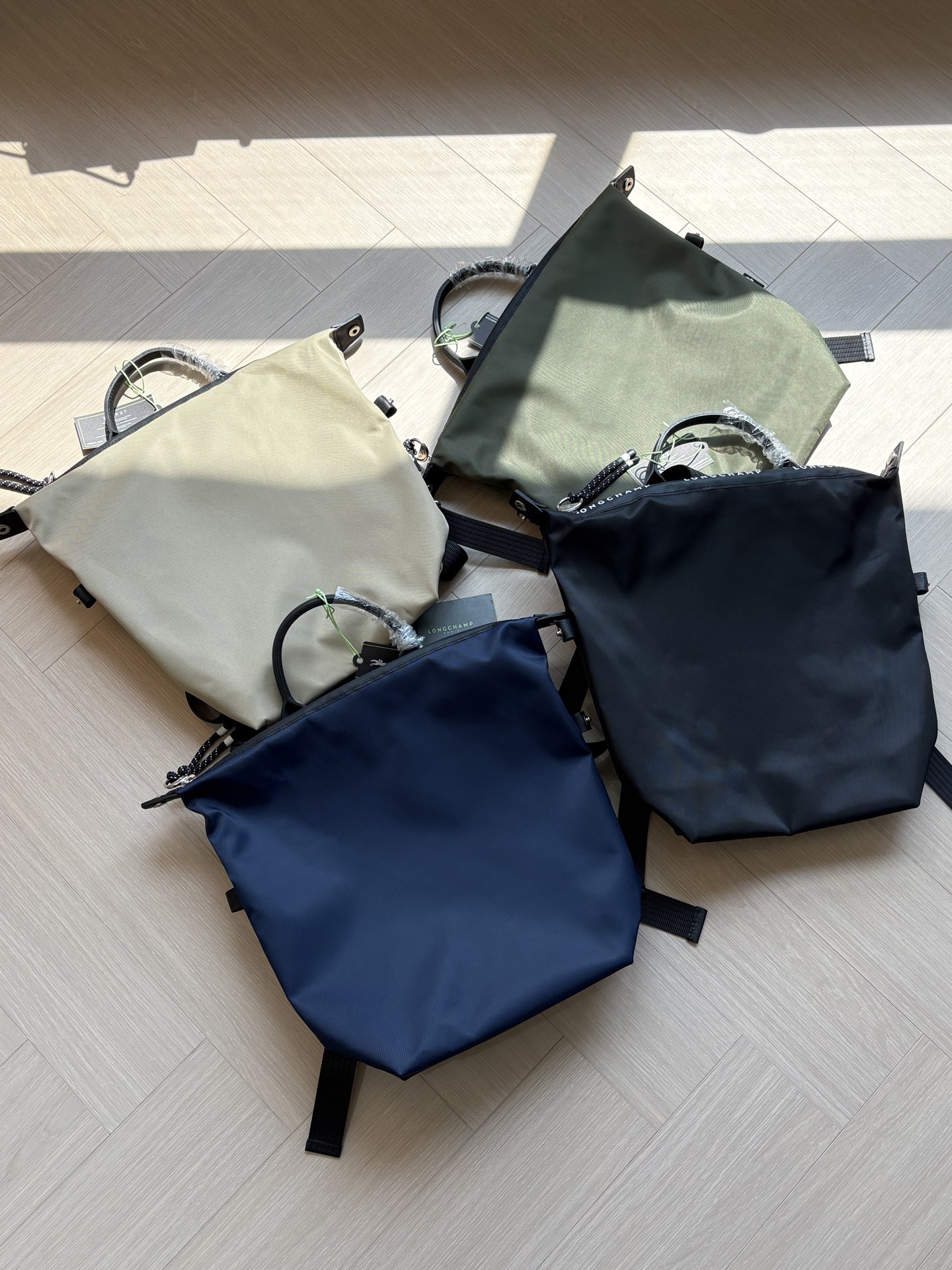 Women Handbag 10166HSR Le Pliage Energy L Backpack