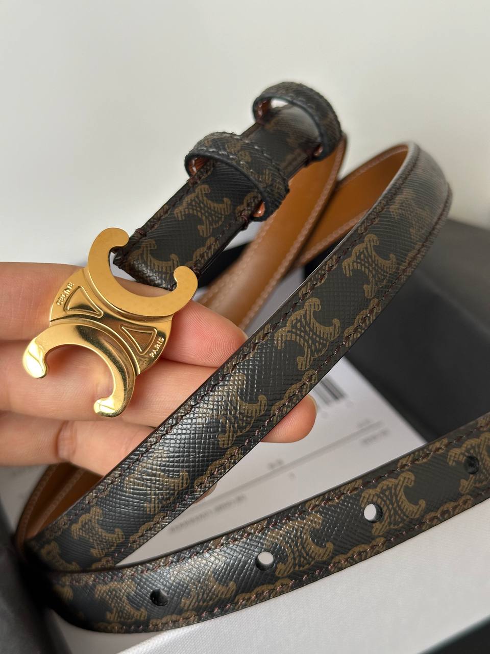 CELINE Triomphe Belt in Triomphe Canvas
