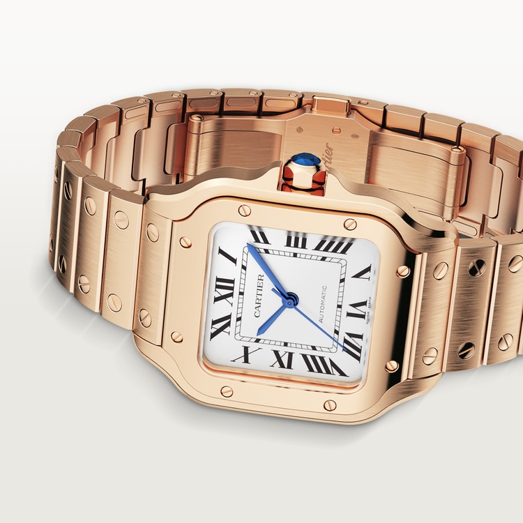 SANTOS DE CARTIER WATCH WGSA0031【1:1 Replica】