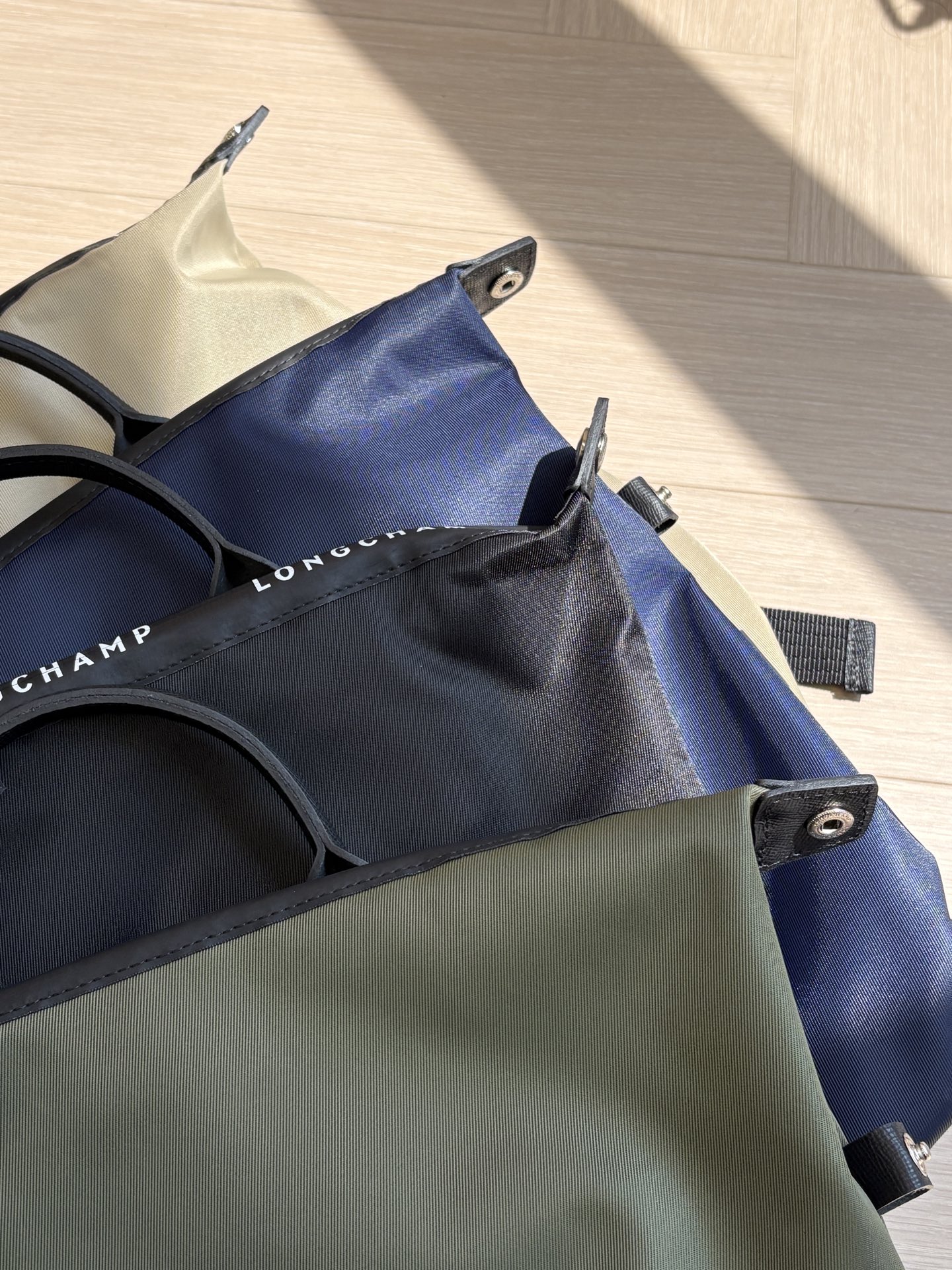 Women Handbag 10166HSR Le Pliage Energy L Backpack