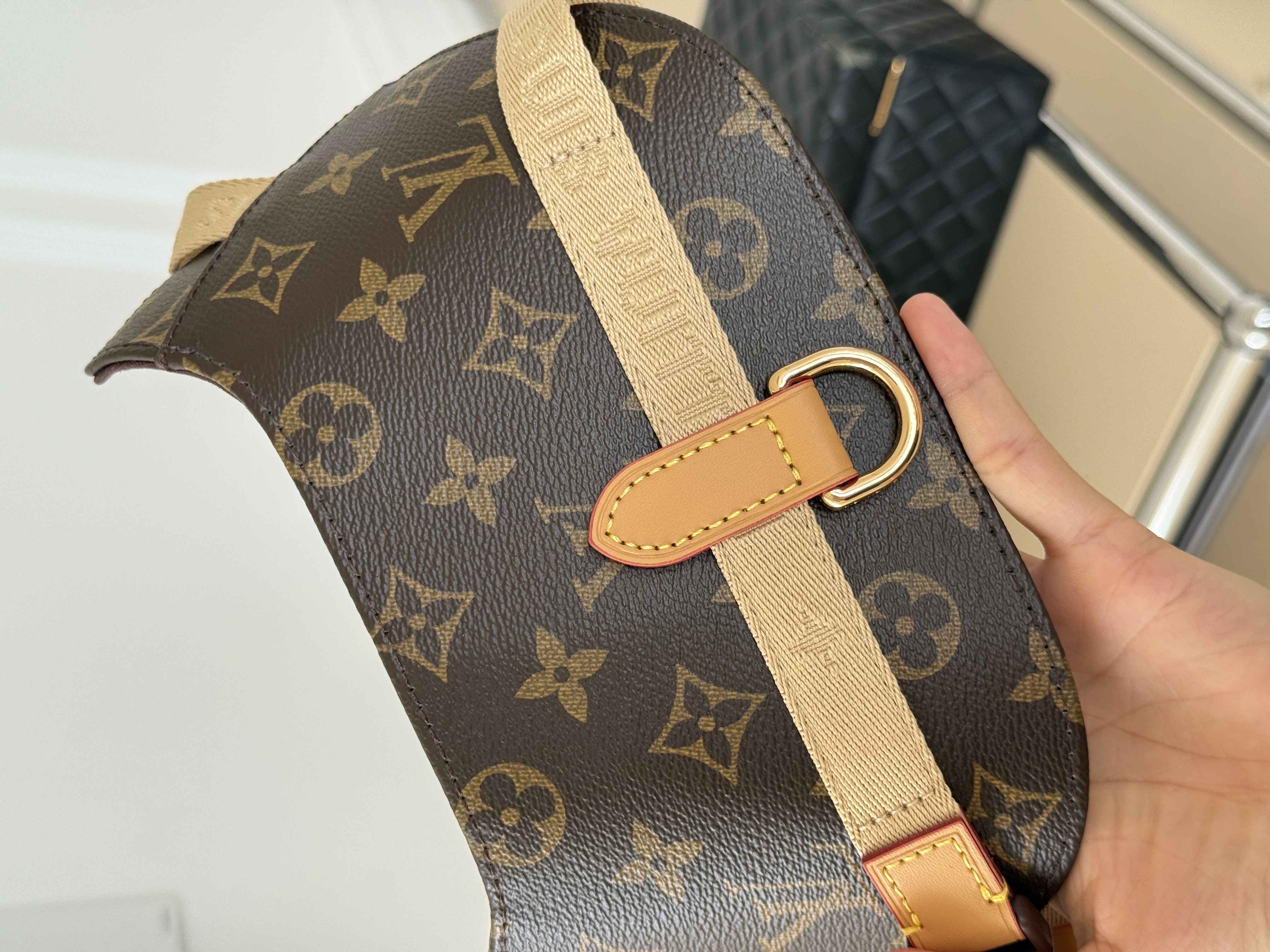 Louis Vuitton（LV）Arnés PM/MM