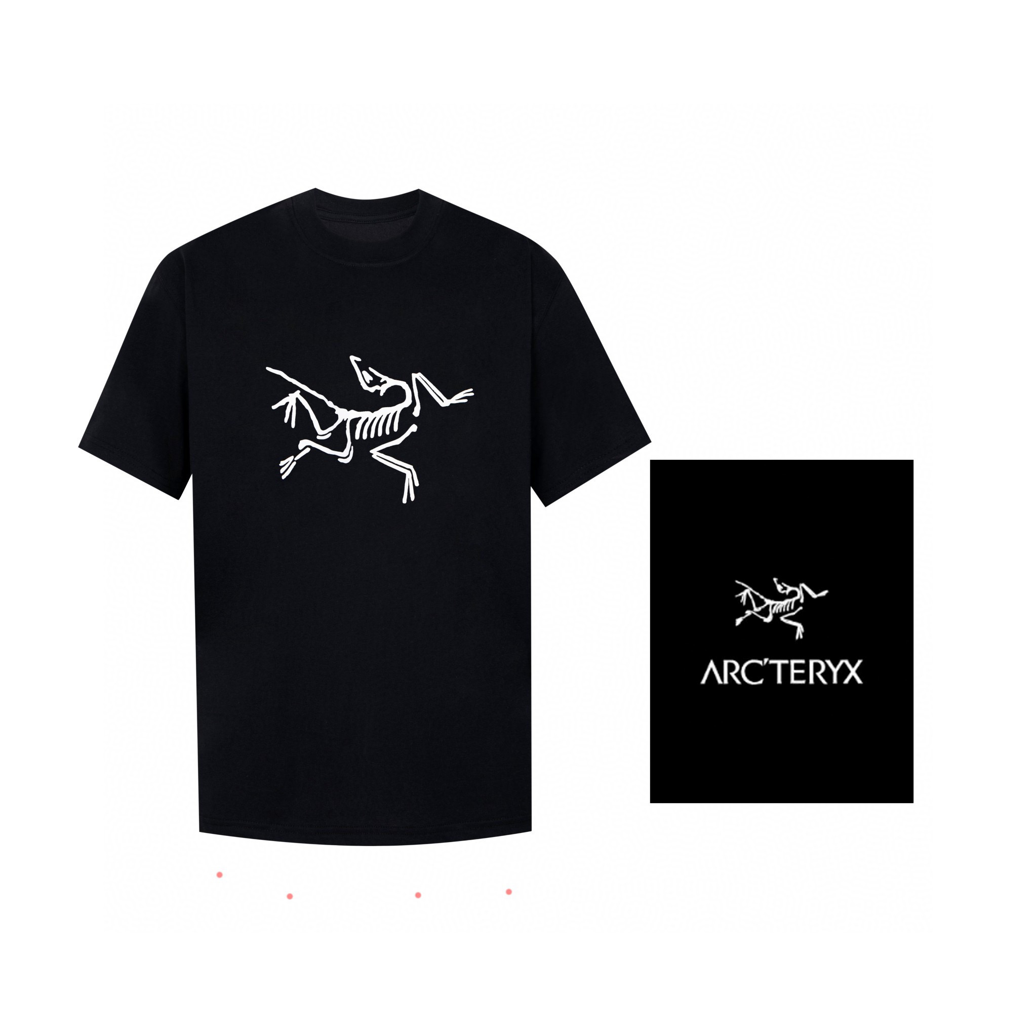 Arcteryx T-shirt