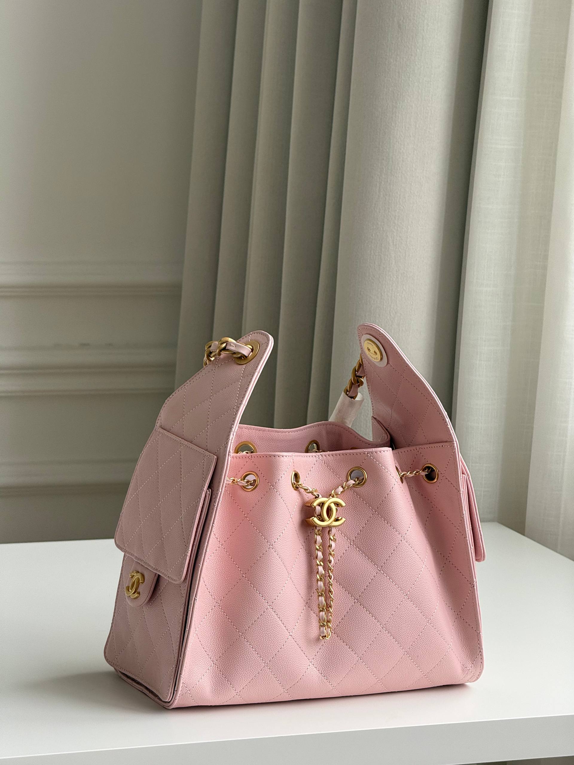 Chanel 25 Hobo