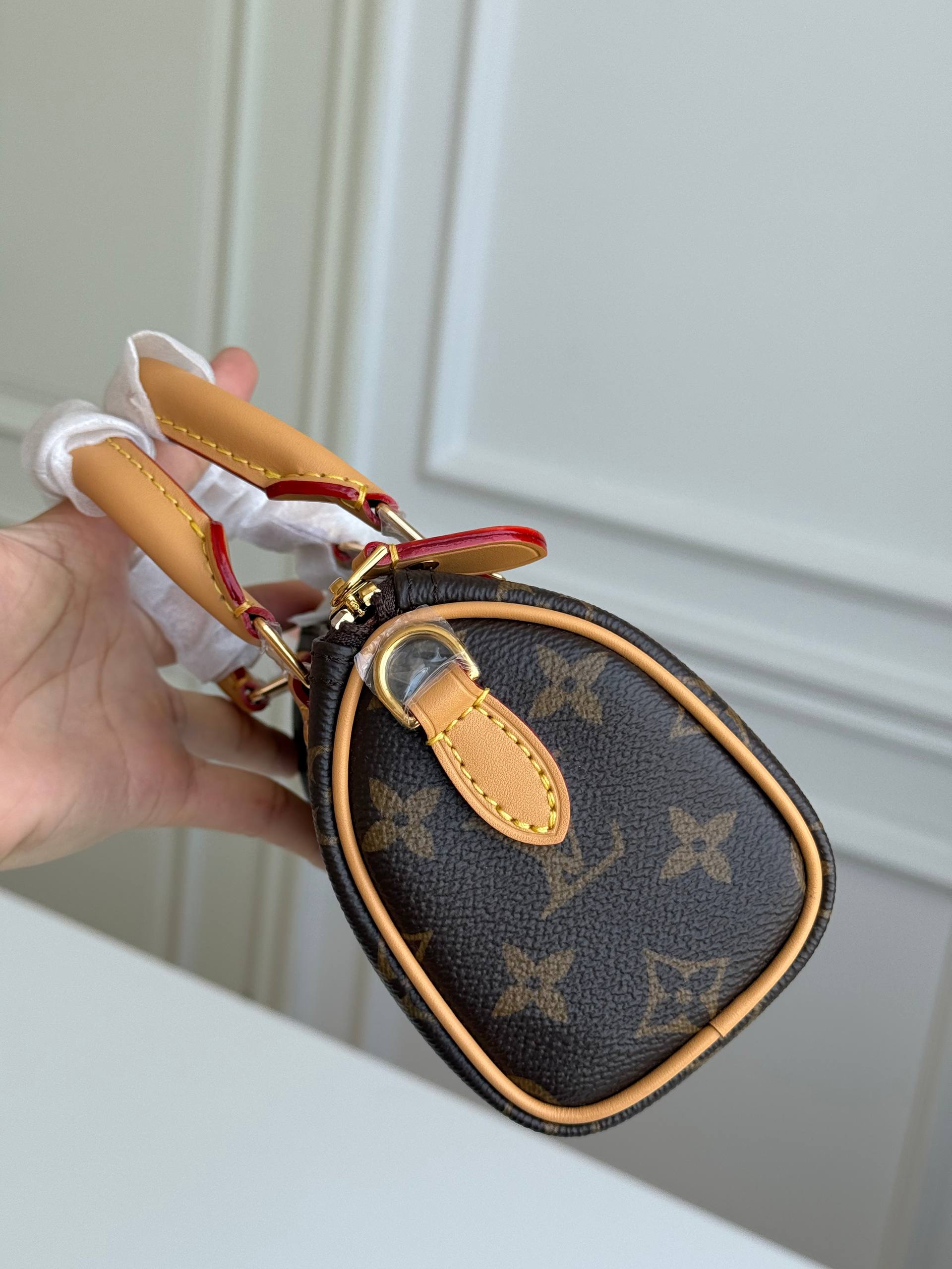 Louis Vuitton Speedy Nano