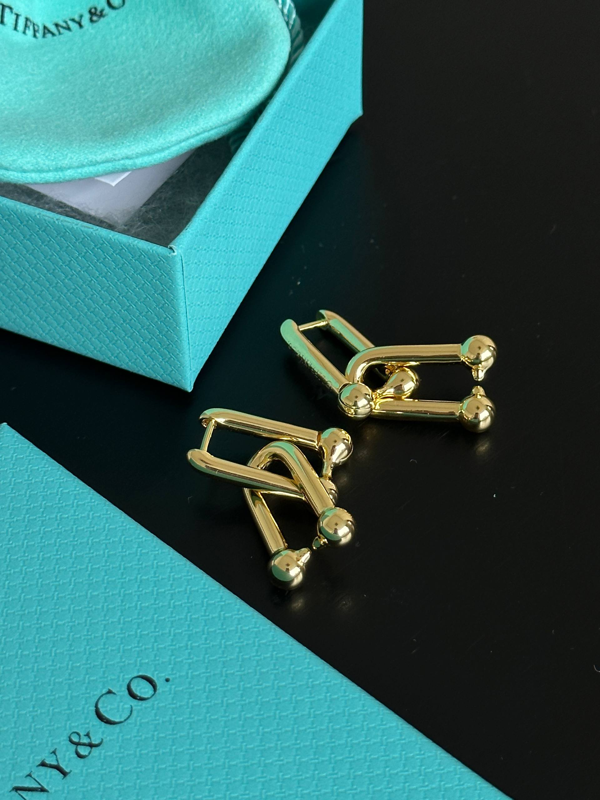 Tiffany & Co. HardWear Gold Double Link Hoop Earrings