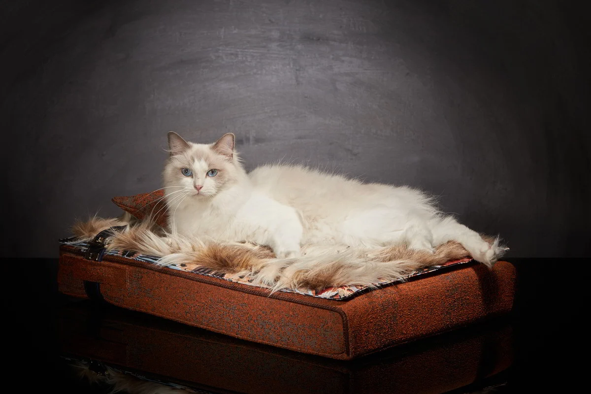 Lit pour chat « Inuit » orange automne