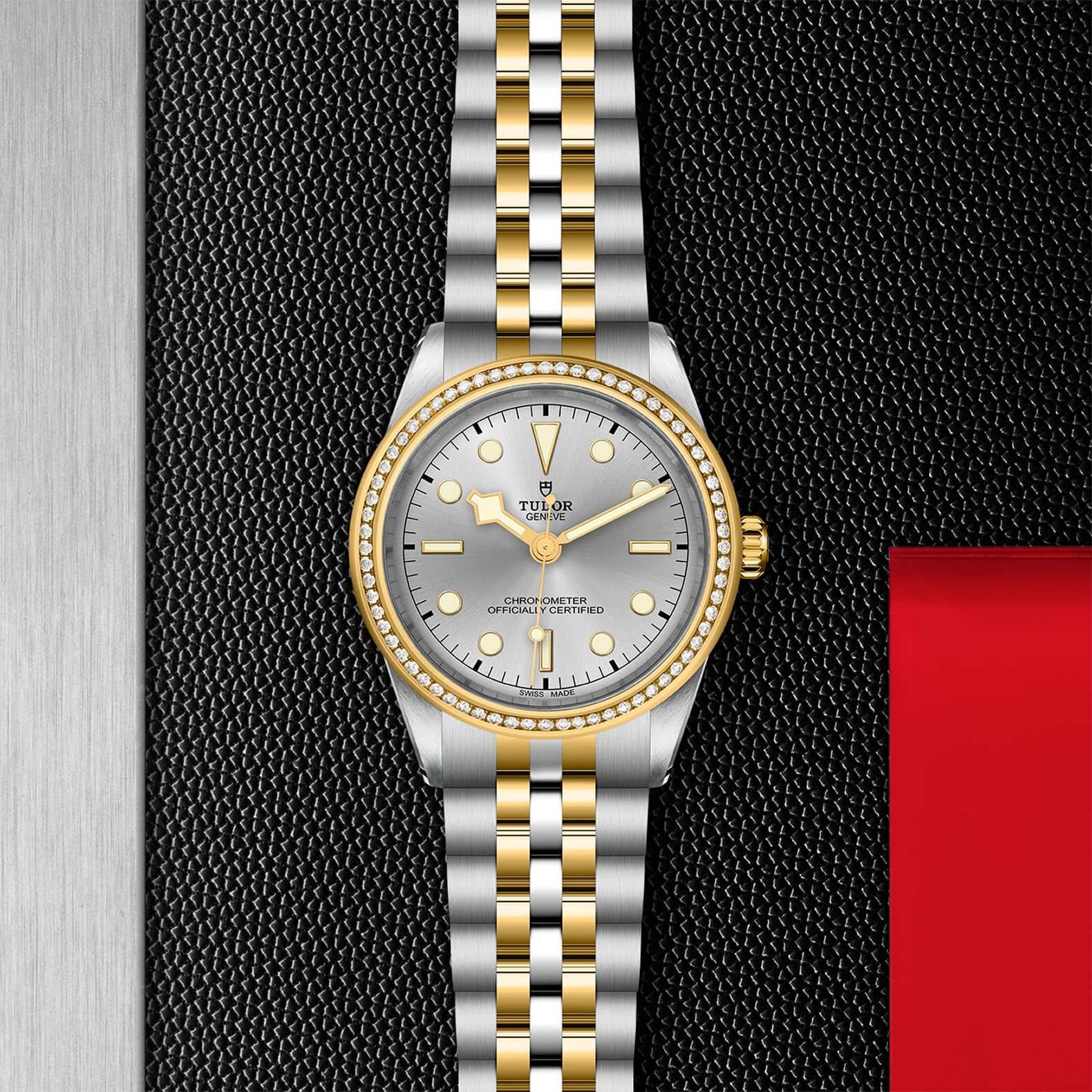 Tudor Black Bay 39 S&G【1:1 Replica】