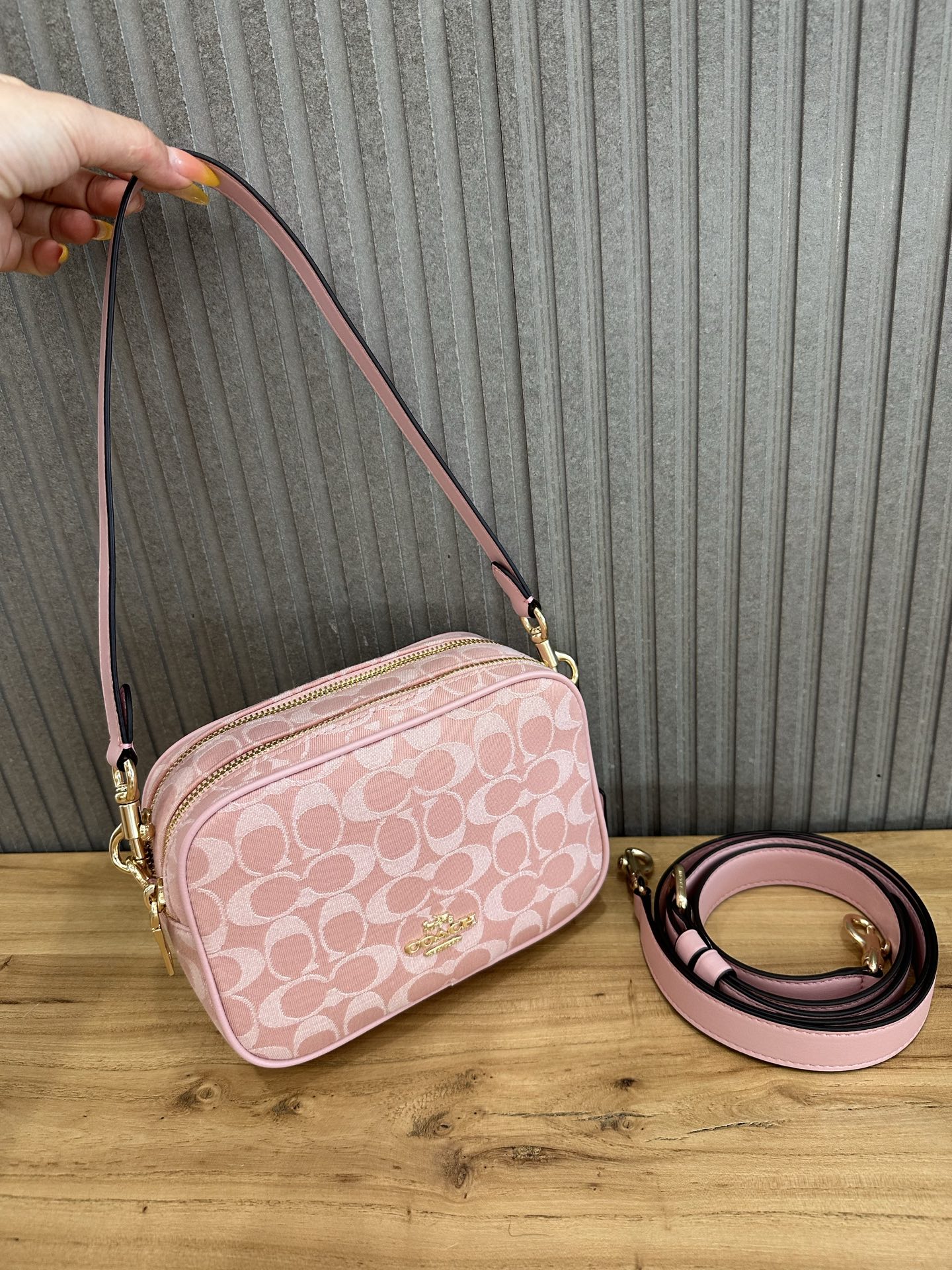 Women Handbag CEN19 Mini Carey Crossbody Camera Bag