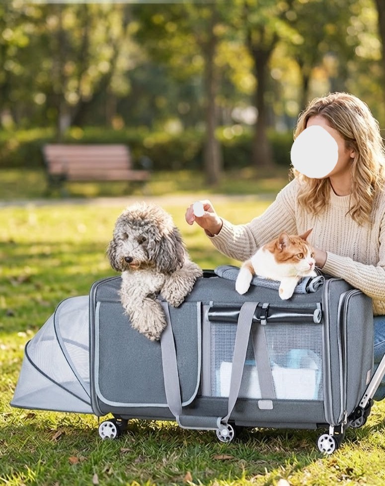 Extra Large Dual Compartment Wheeled Carrier Windproof Expandable Breathable Rolling Luggage for Multiple Pets - MAISONKAIRON