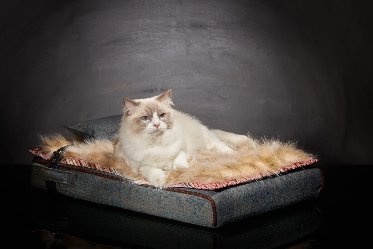 Lit pour chat « Inuit » bleu océan