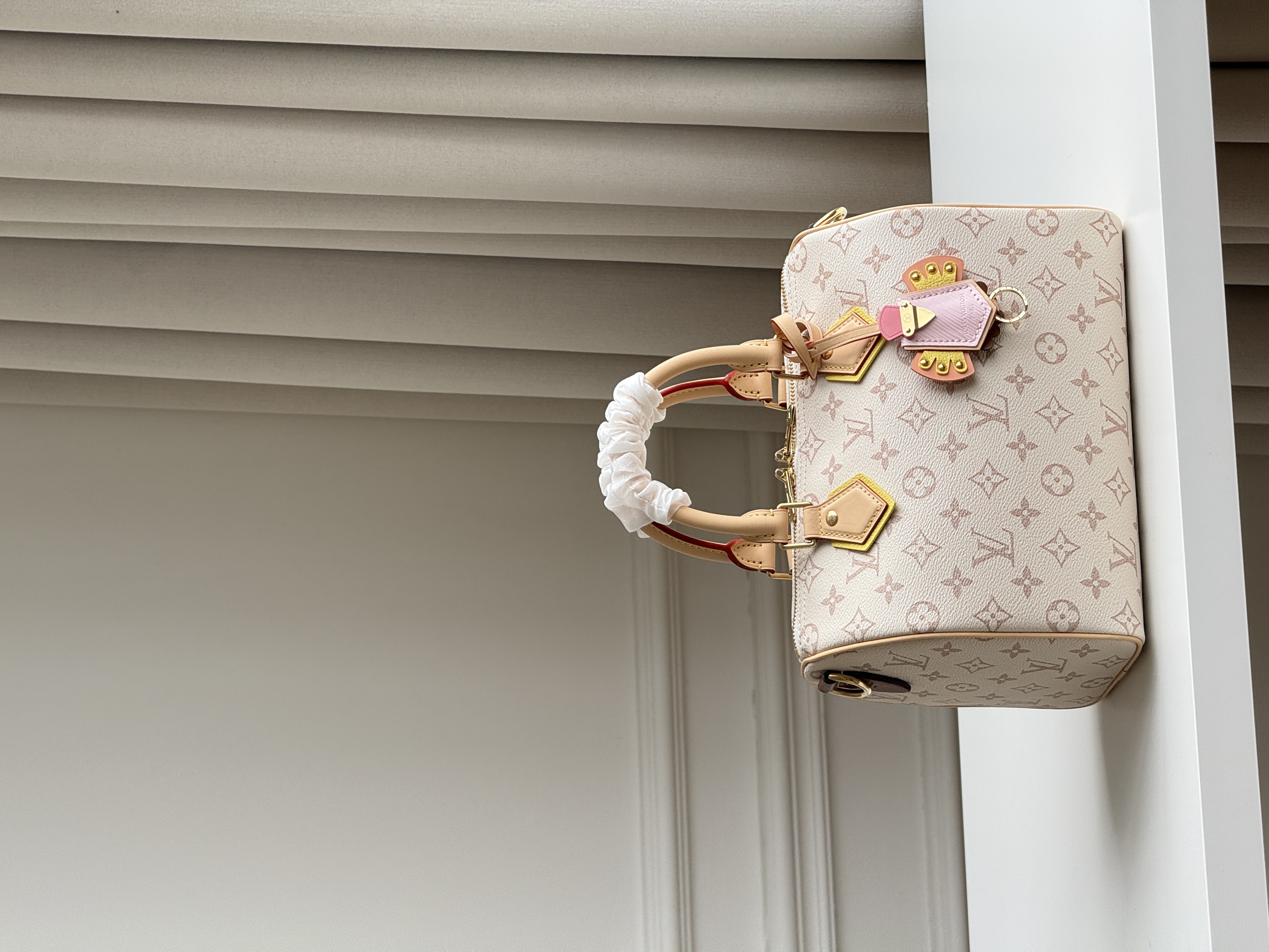 Louis Vuitton Speedy 25 Dune Monogram Pillow Bag