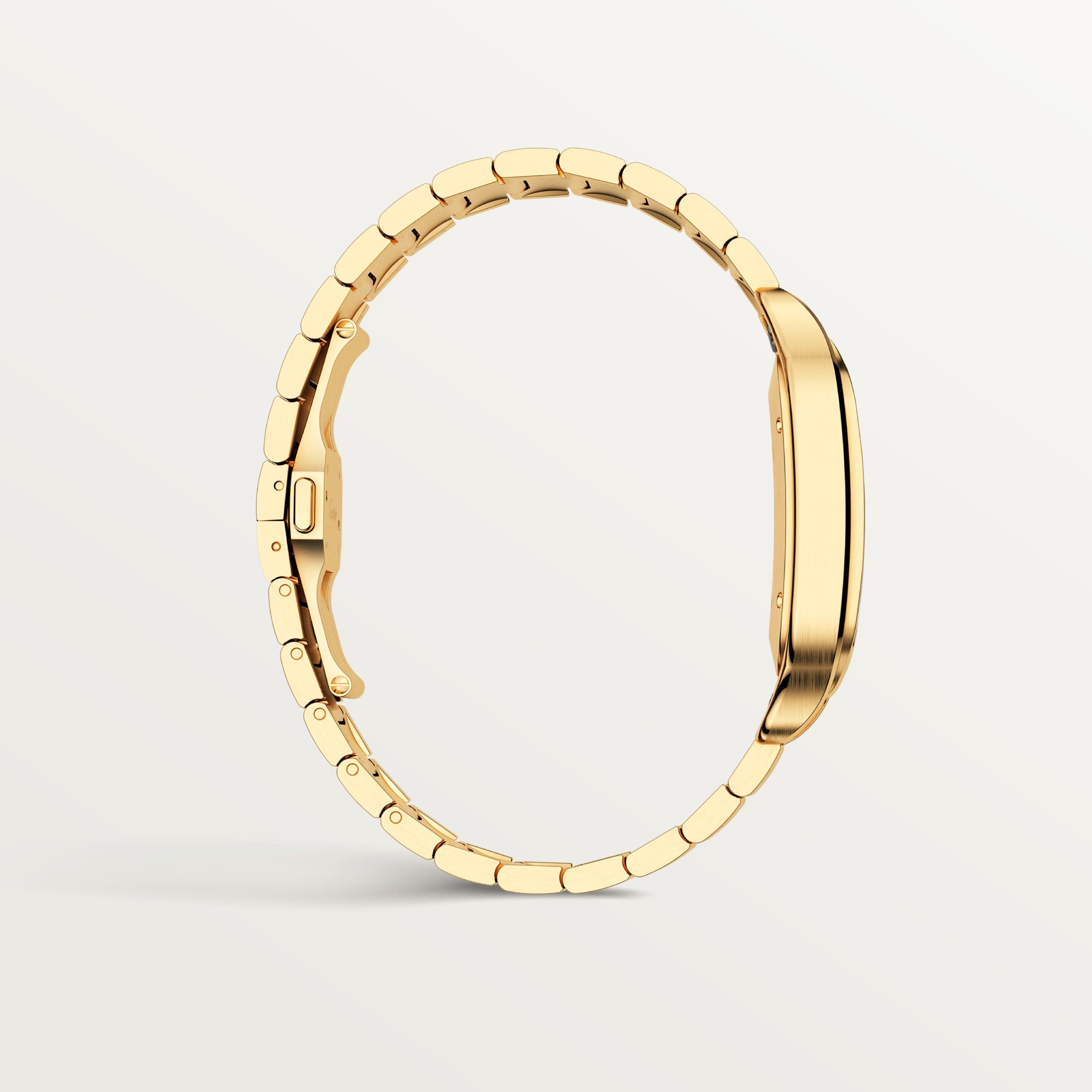 Santos de Cartier watch CRWGSA0029【1:1 Replica】