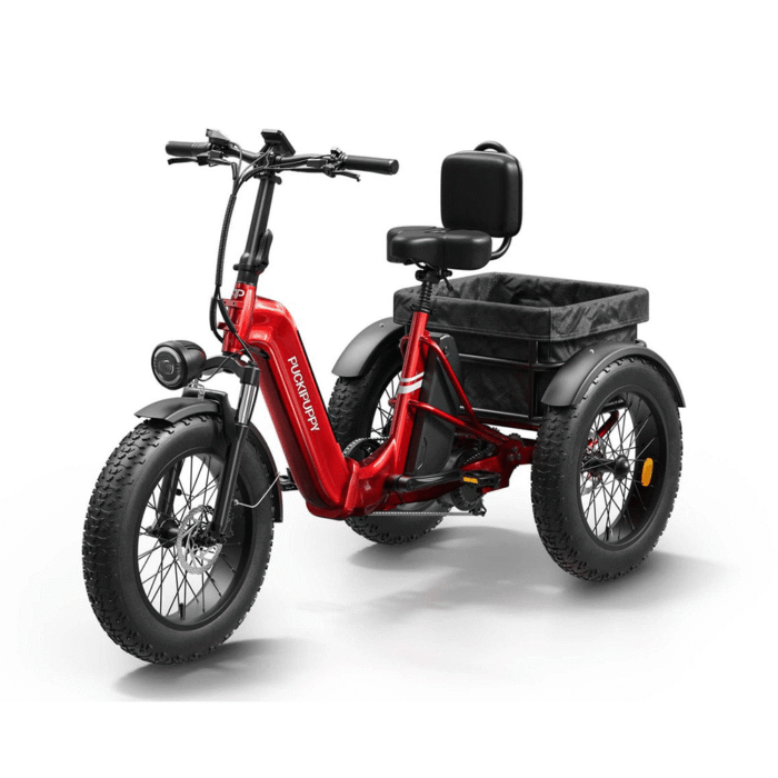 Electric Tricycle PUCKIPUPPY