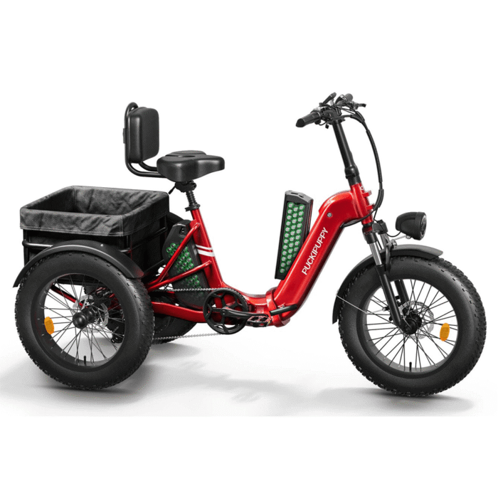 Electric Tricycle PUCKIPUPPY