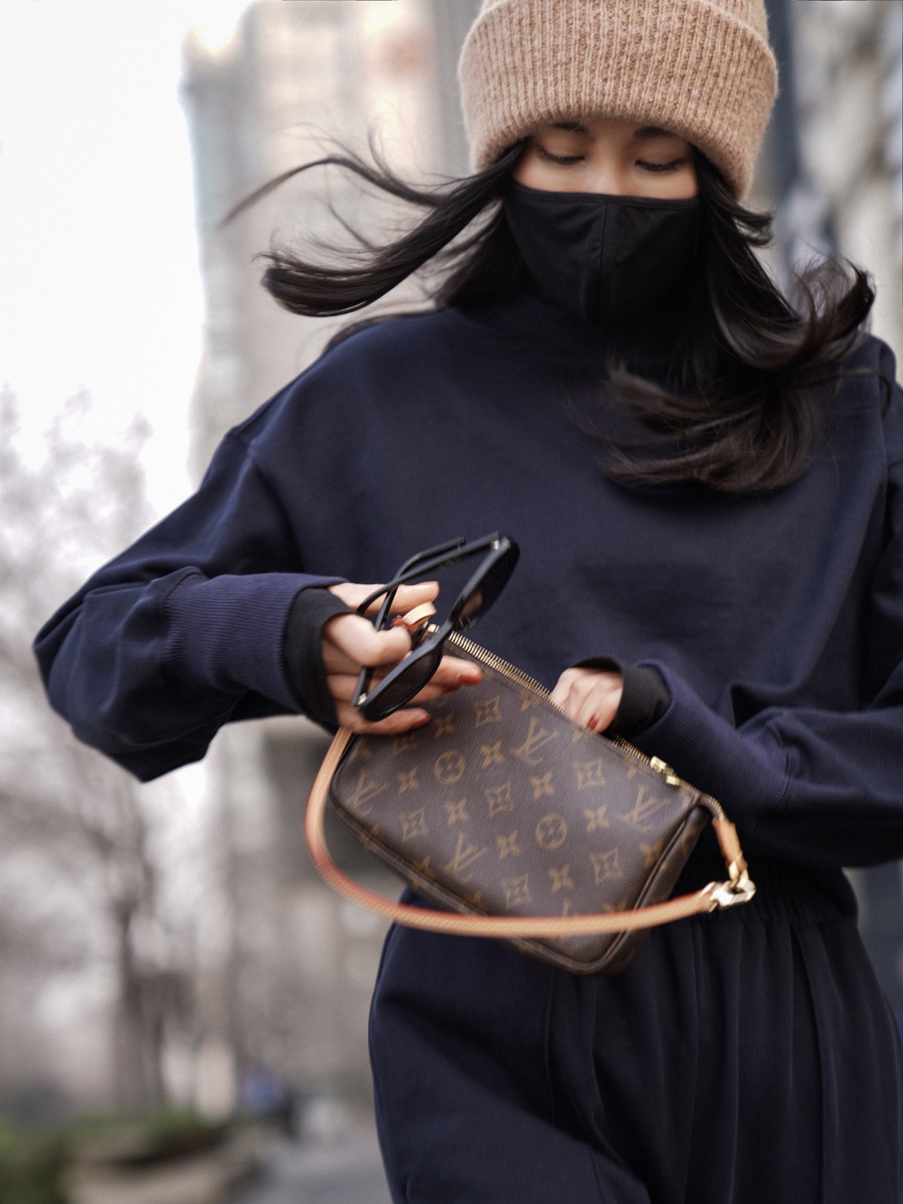 LV Pochette Accessoires