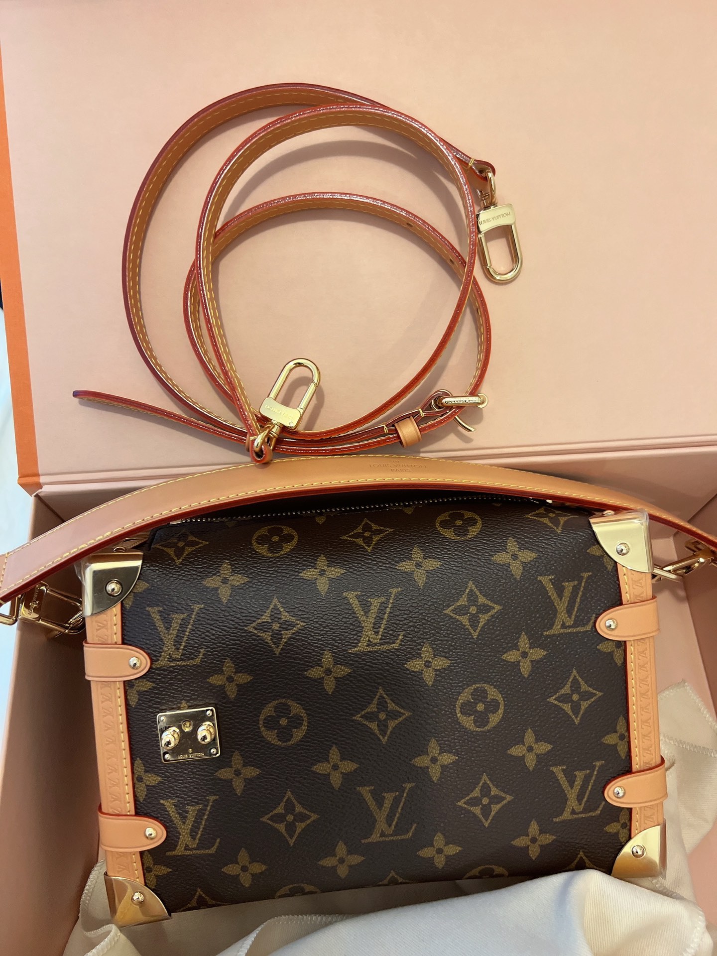 Louis Vuitton side trunk handbag