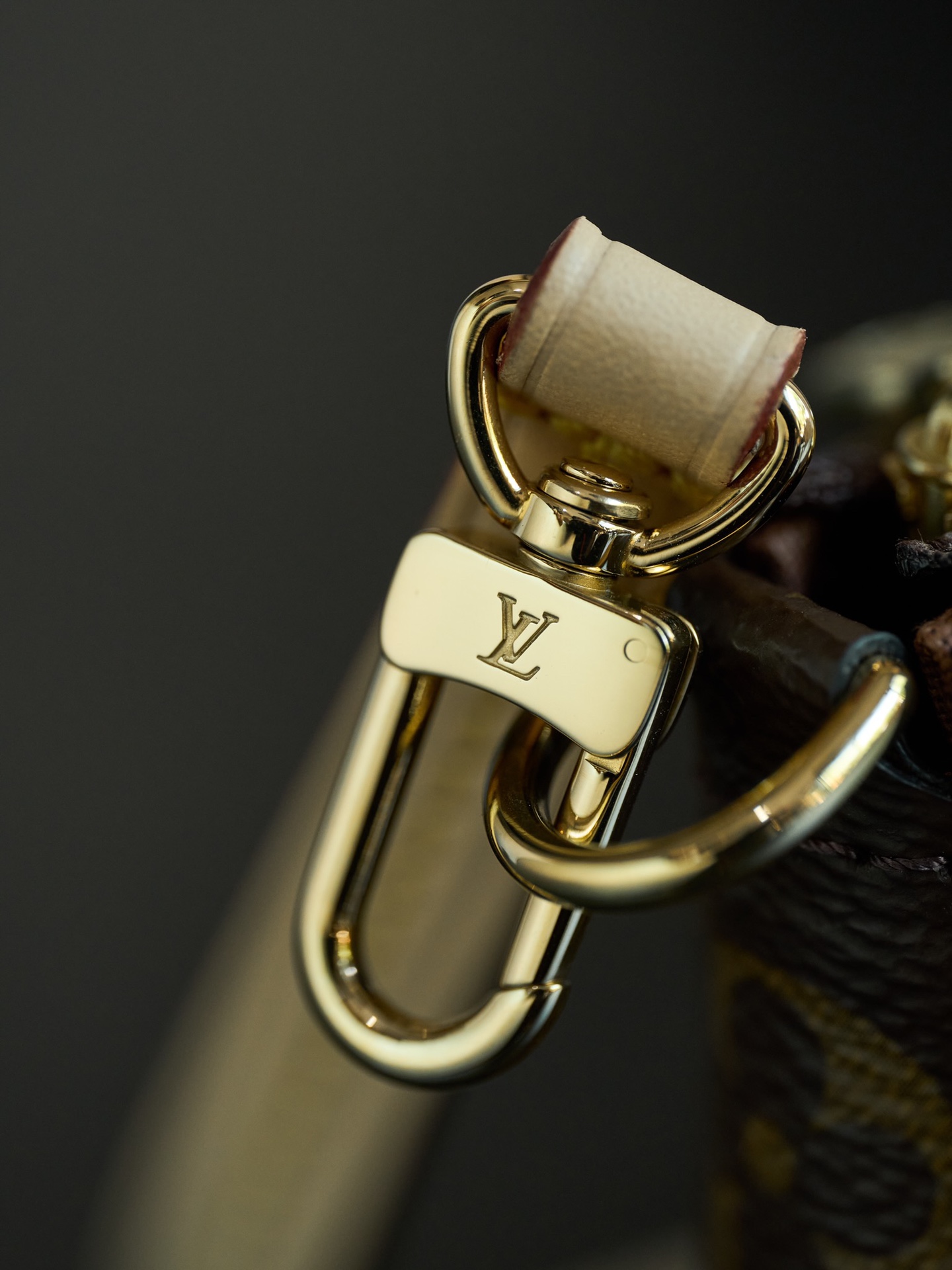 LV Pochette Accessoires